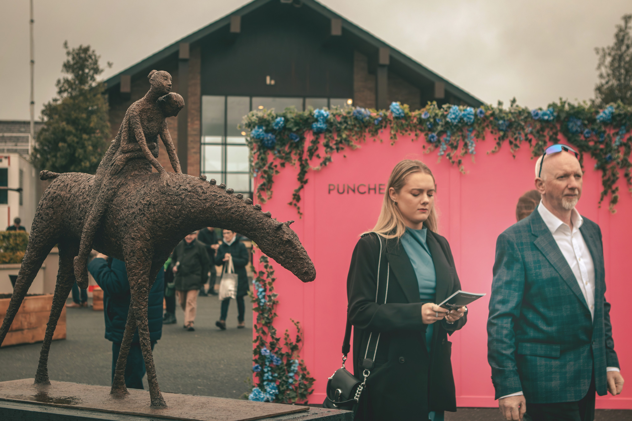 Punchestown. Photographer Co Dublin, Balbriggan — Agata Maliseva