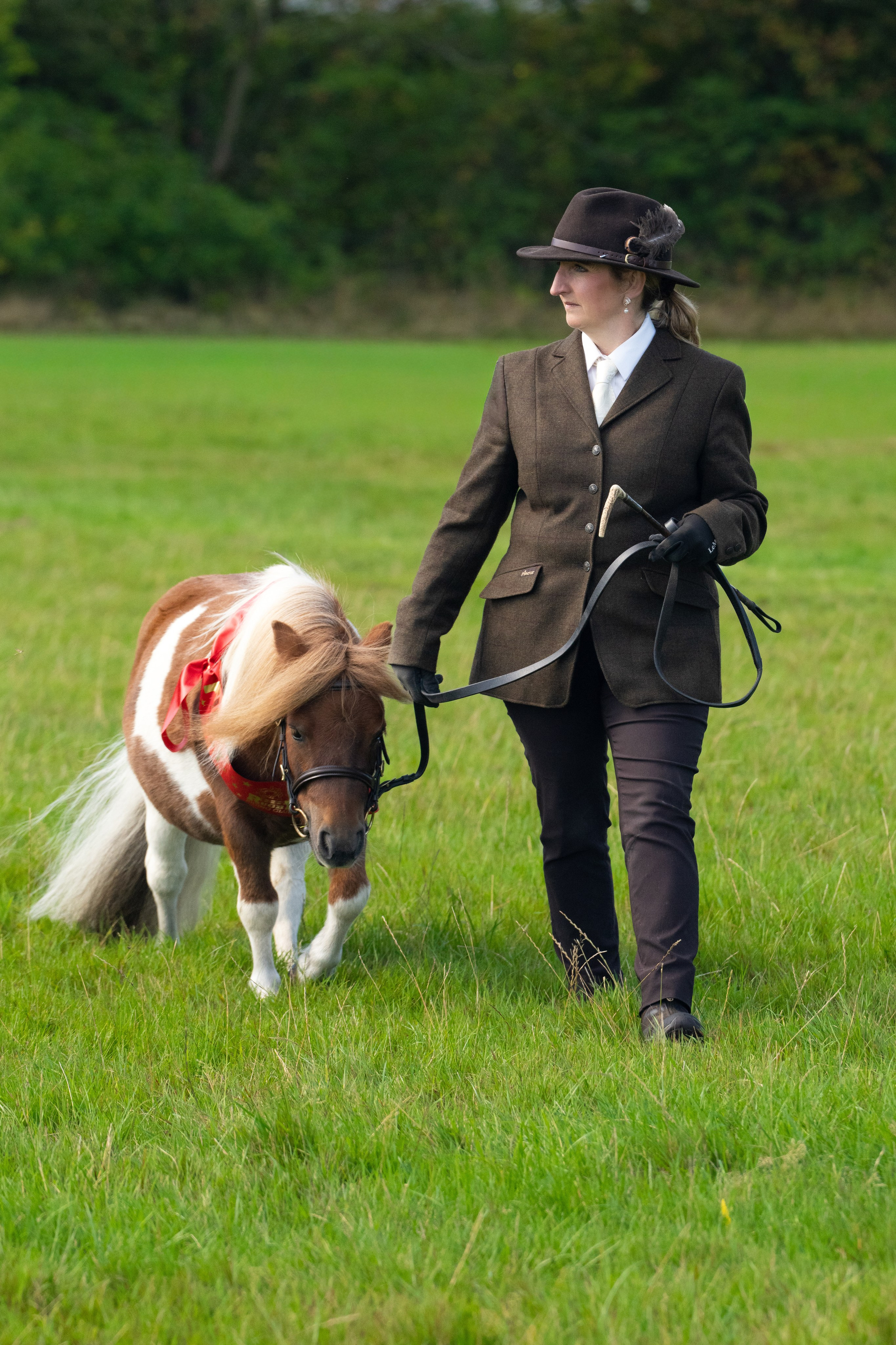 Showing. Leicestershire Equine Photography by El | Authentic Equine Portraits & Events