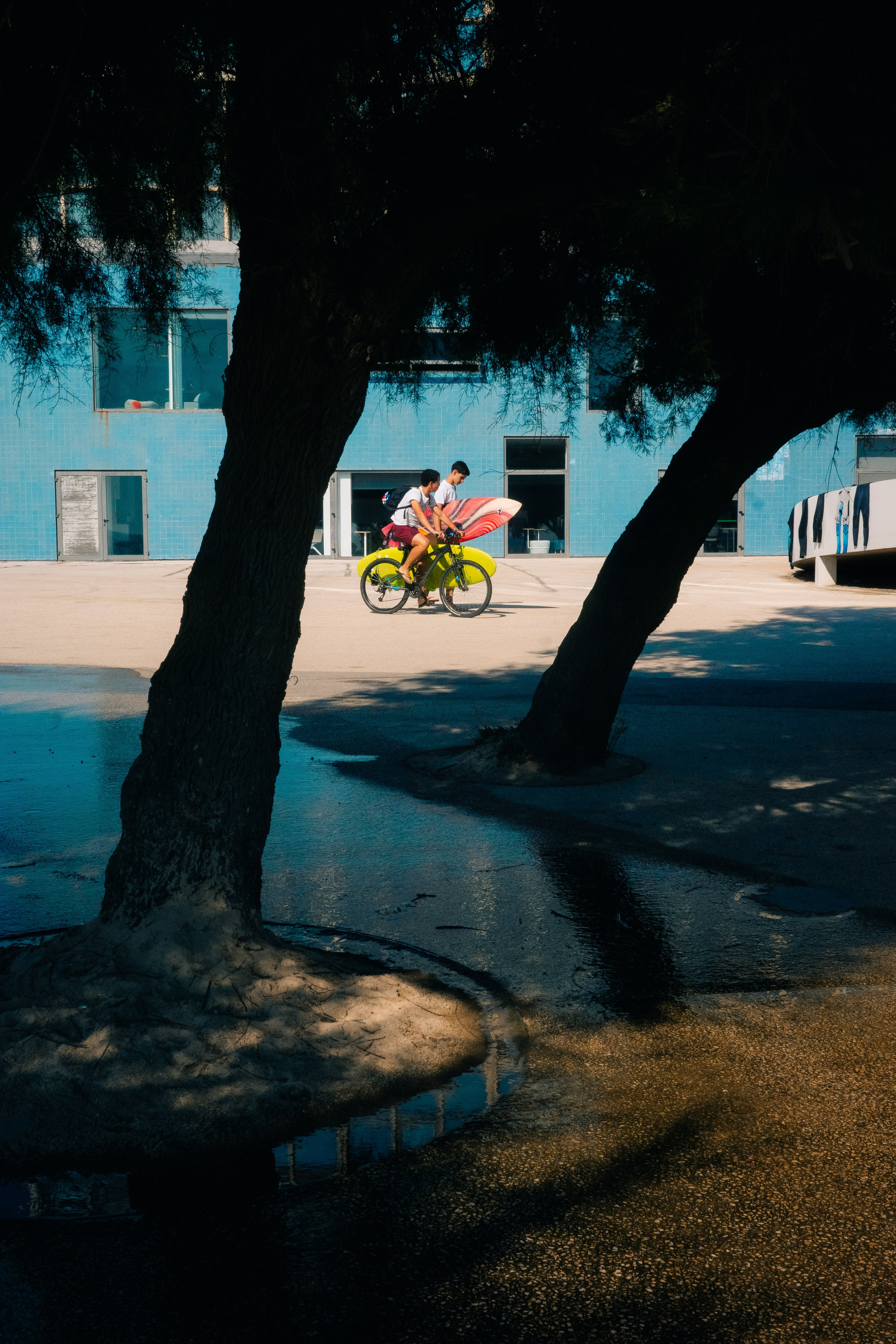 Работы Марии Шер. Sher.SCHOOL