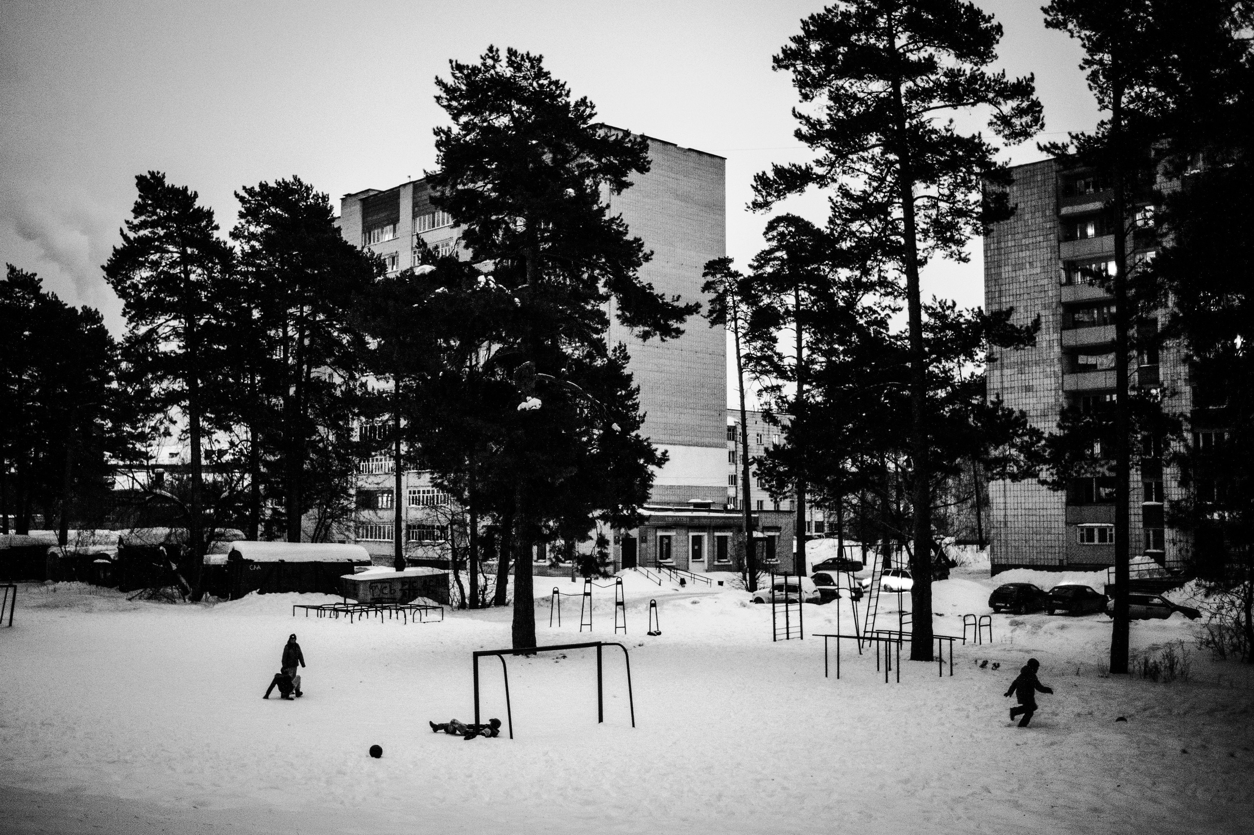 SVETLANA, MEANING HOLY (2018)