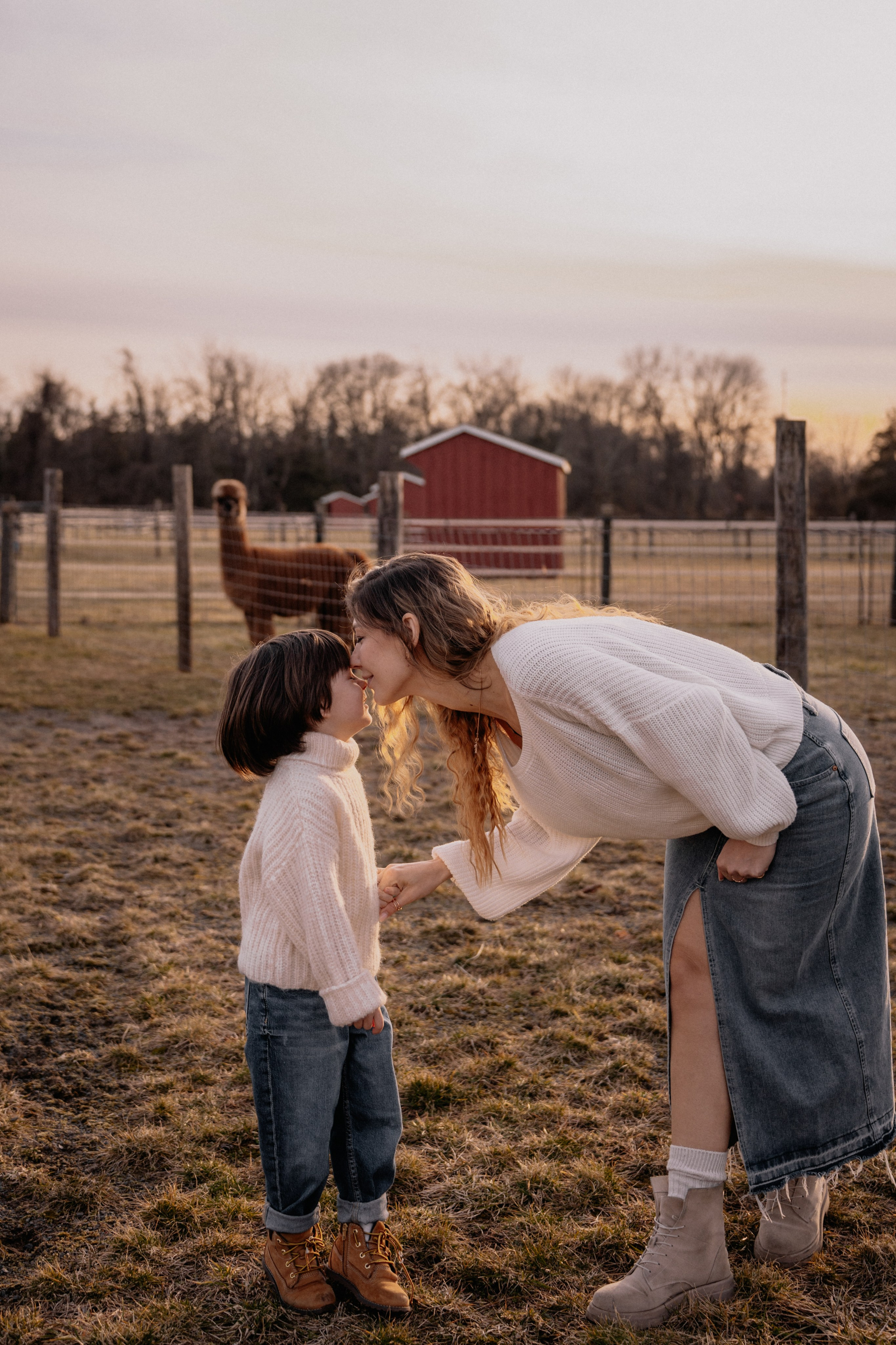 Alpaca’s farm. Wedding and family photographer and videographer PA, NJ, NY, DE, MD