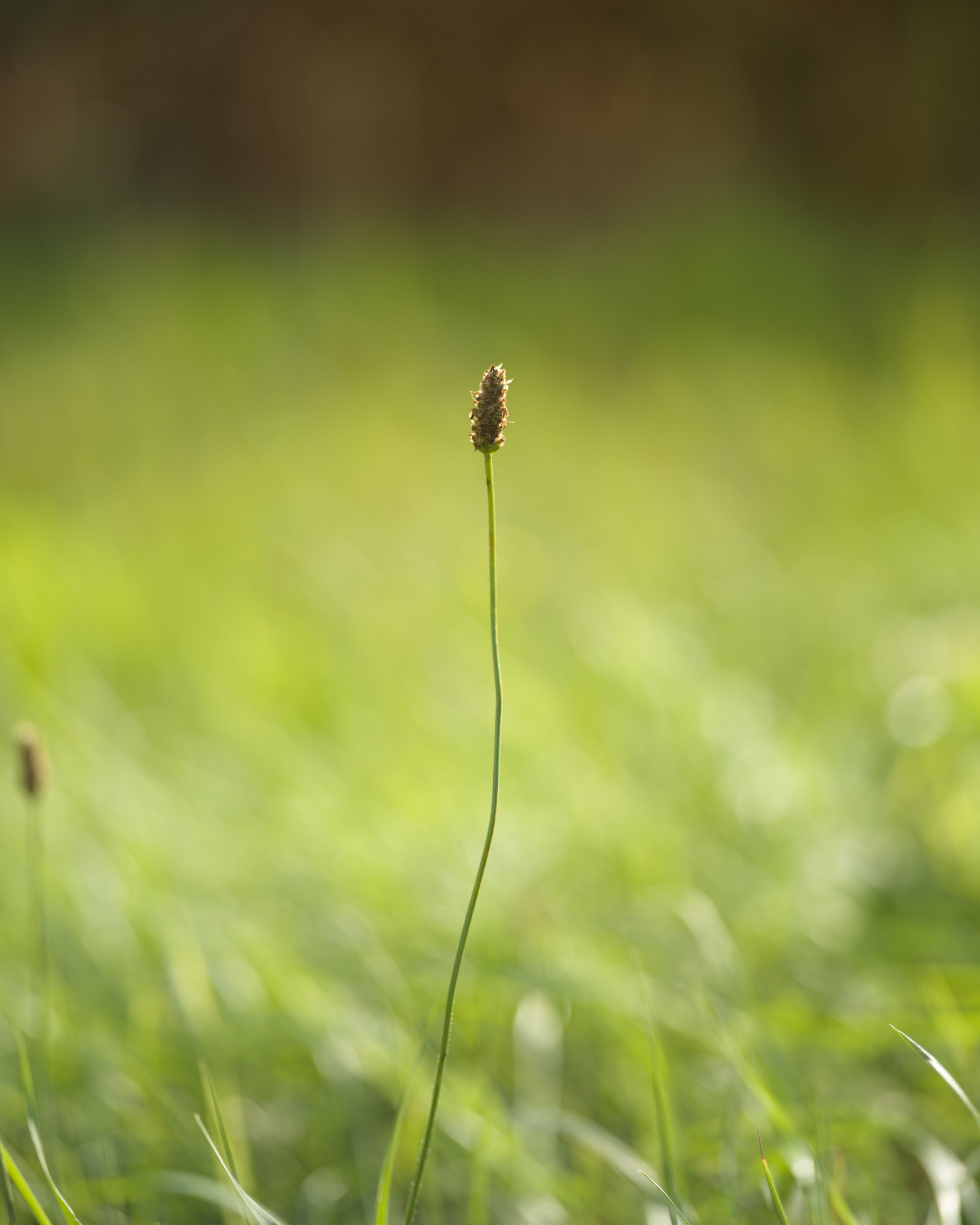 Travel. Visual artist | Fotograf | Stuttgart