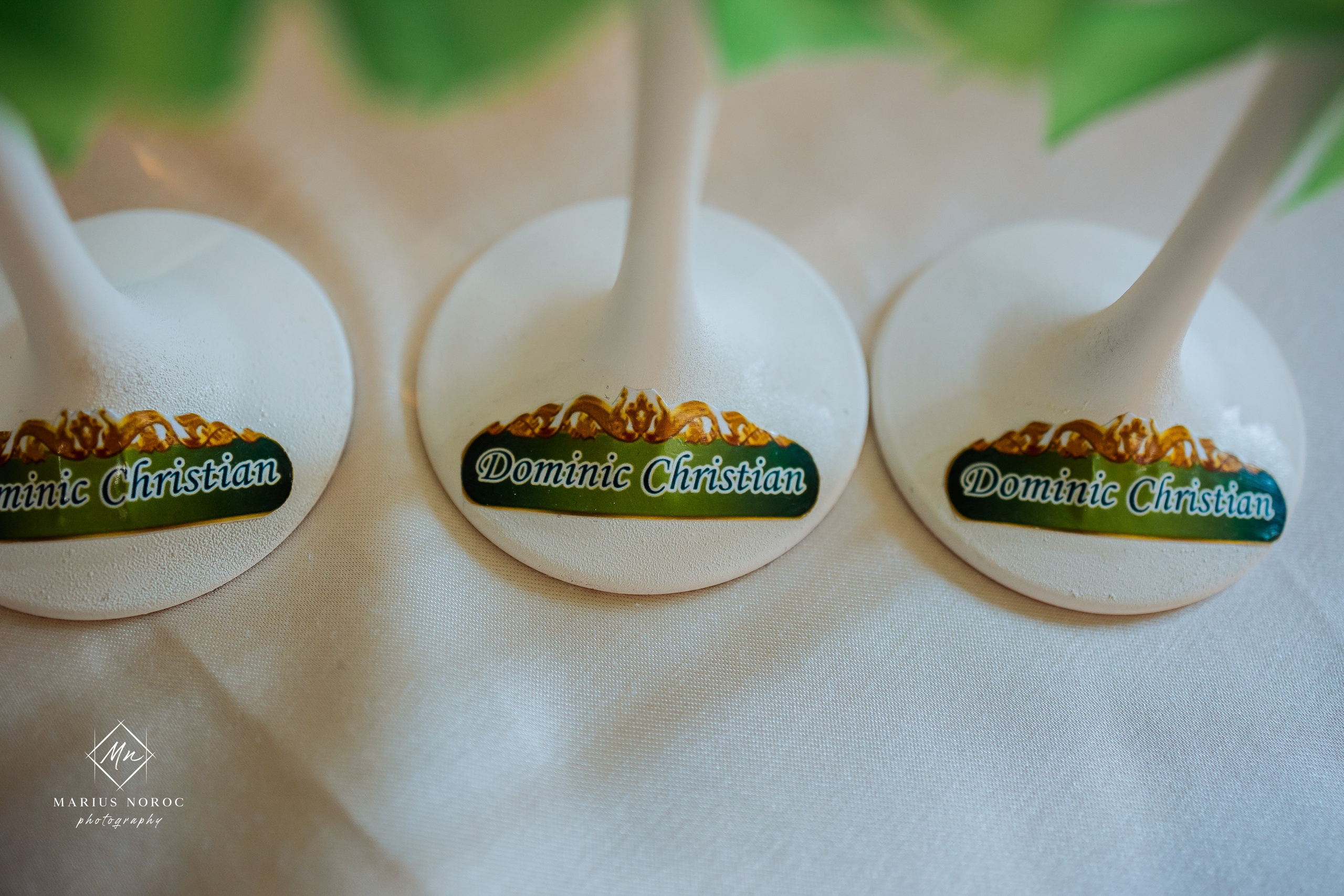 Dominic Christian - Taina Sfântului Botez