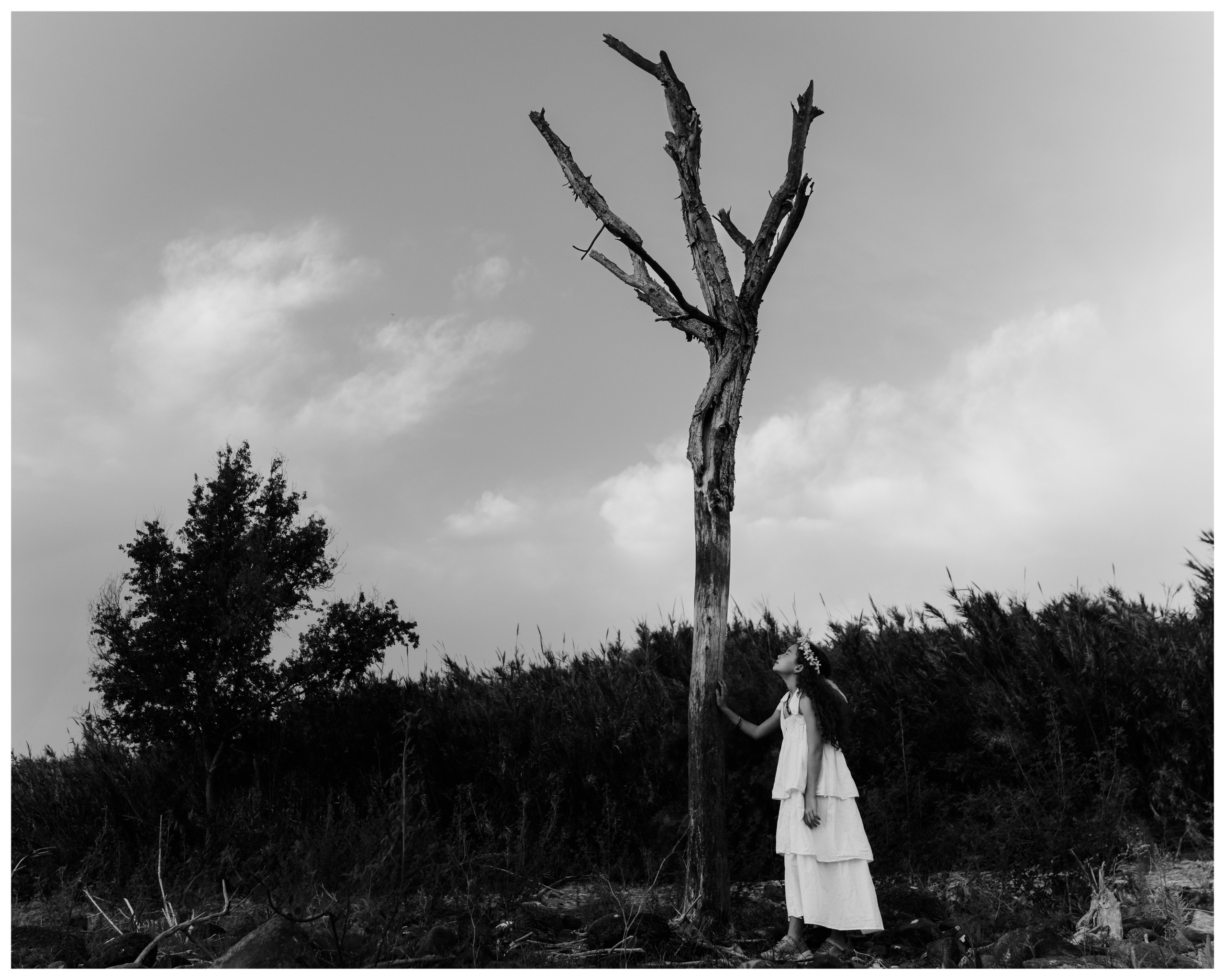 Art and outdoor photography