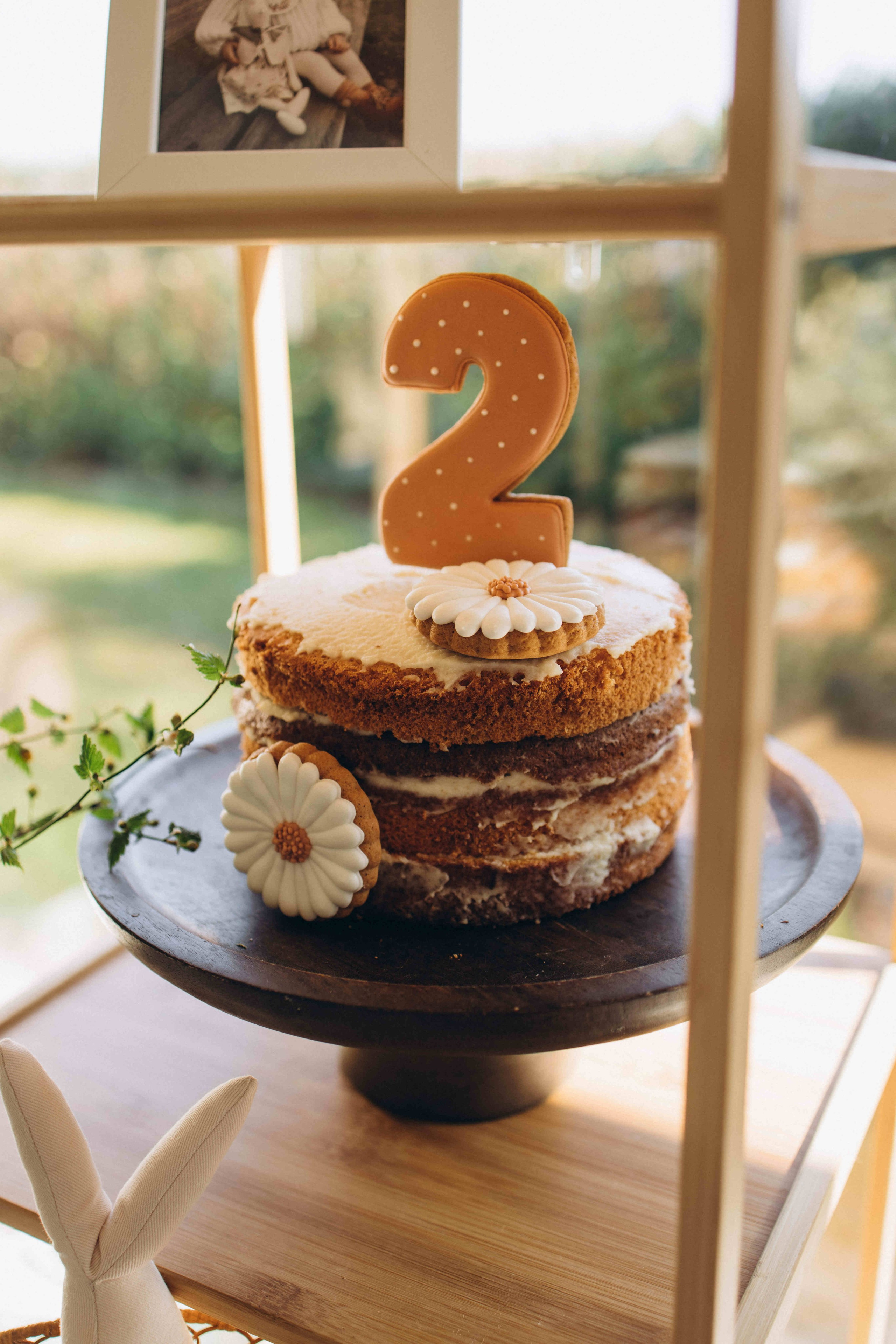 Noa 2 years. Newborn, Maternity & Family Photographer in Charlotte, North Carolina | Arhipova Julia