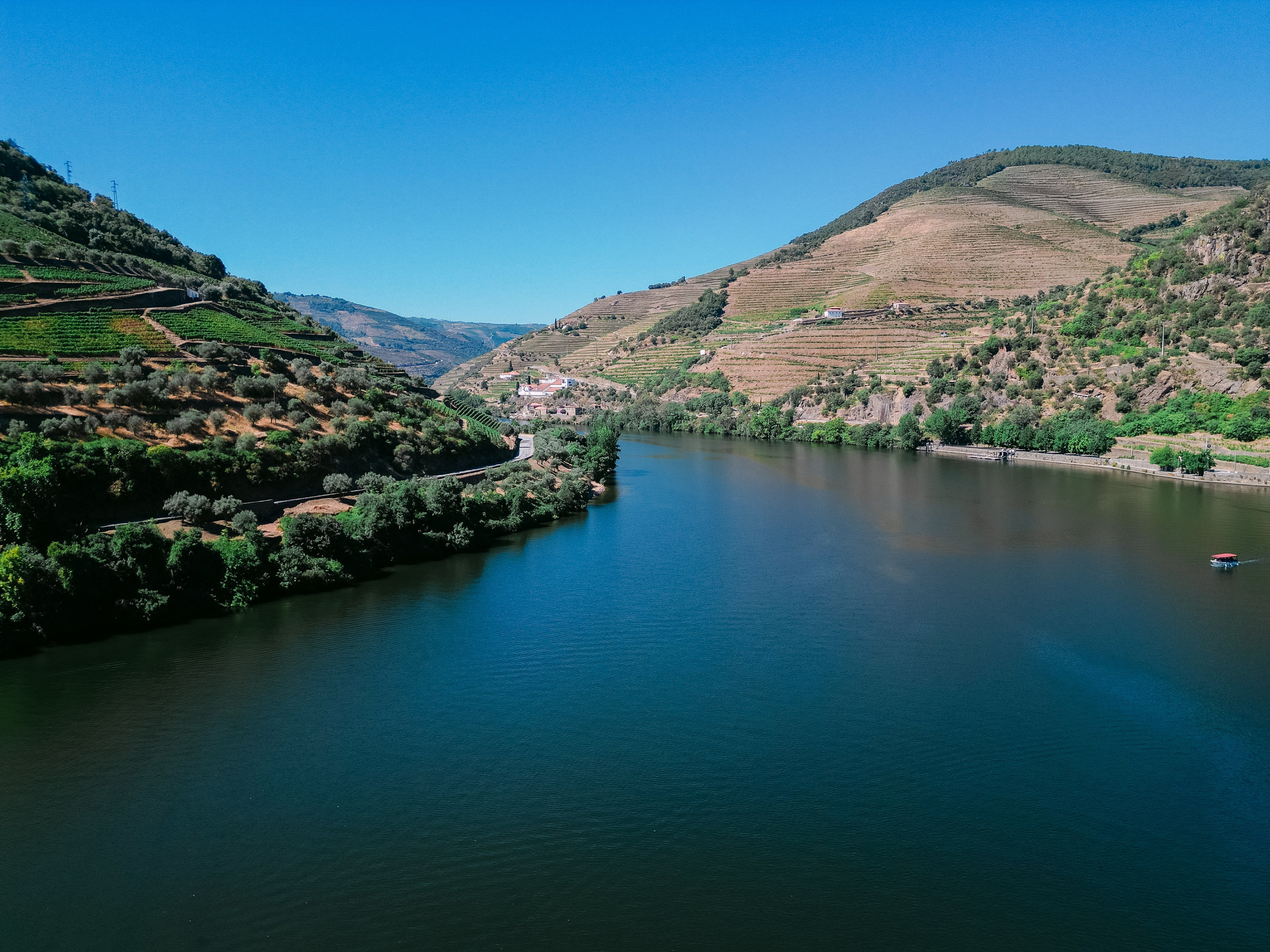 Wedding Proposal at Douro Valley — Arthur & Ana. Wedding & destination wedding photographer in Porto, Portugal — Davi Valente | Lisbon, Douro Valley, Rome, Tuscany & Lake Como