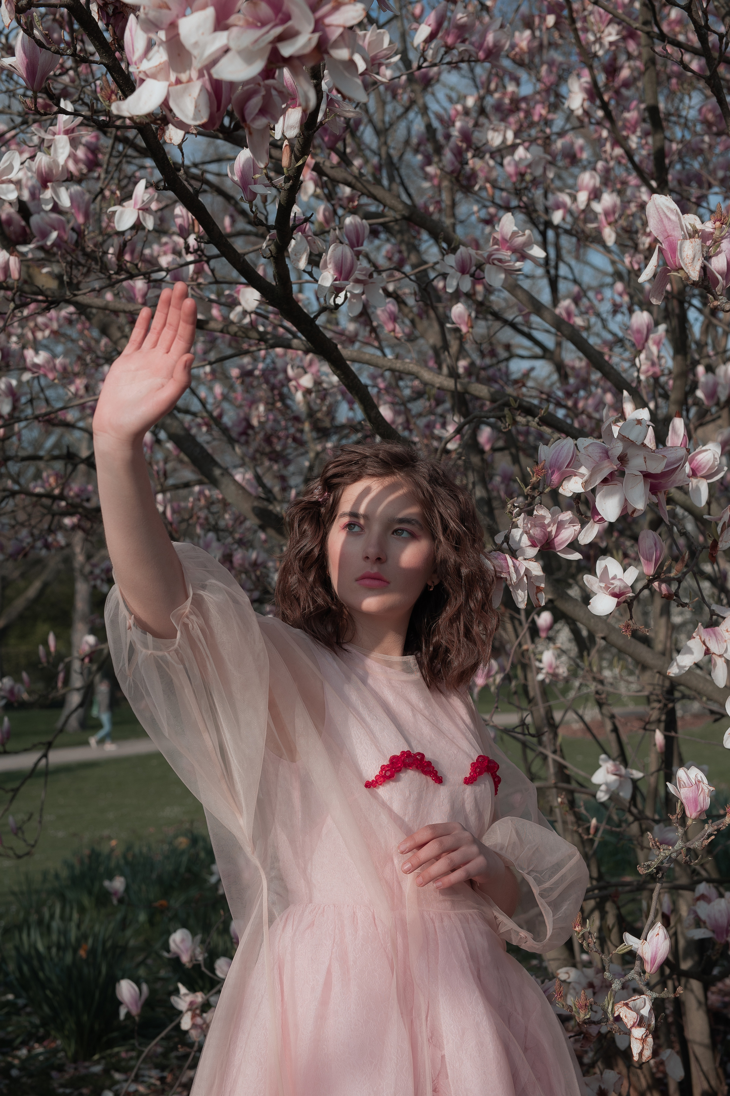 Fotoshootings unter Magnolien. Familien & Hochzeitfotografin Nadja Holzmann