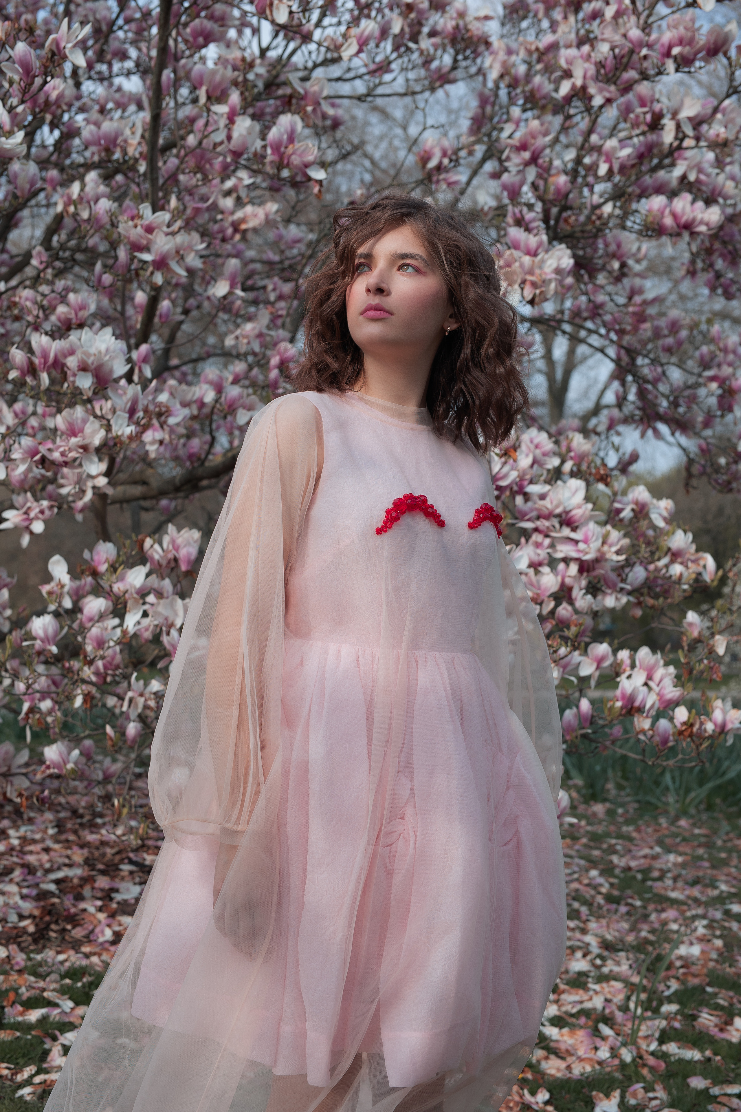 Fotoshootings unter Magnolien. Familien & Hochzeitfotografin Nadja Holzmann