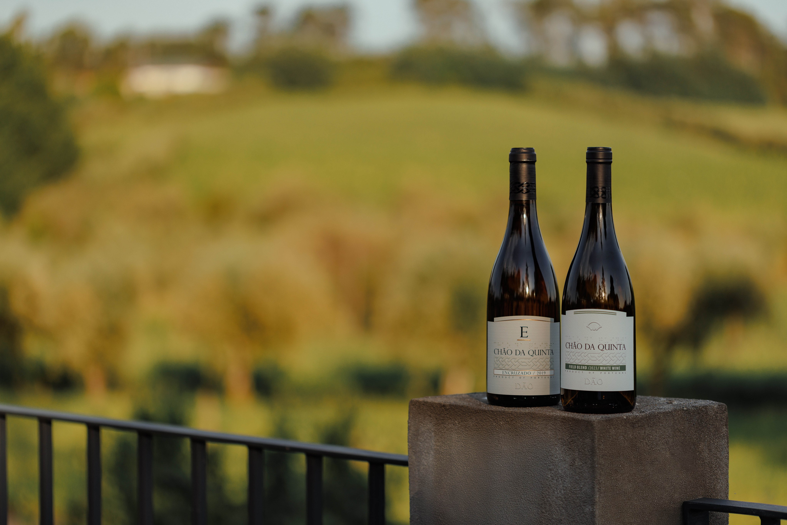 QUINTA CHÃO DE SÃO FRANCISCO. ESTUDIO DOZE