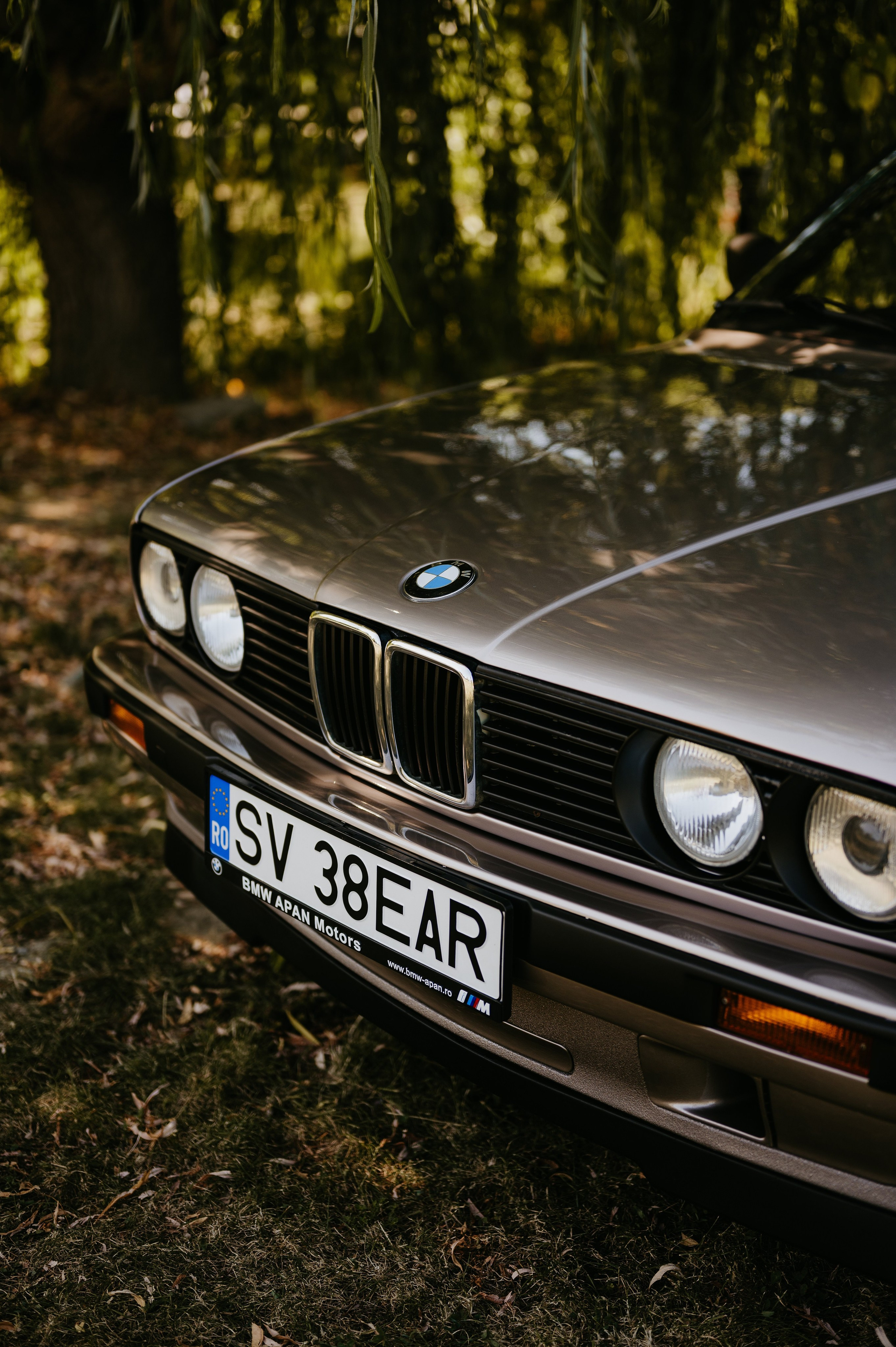 Ionut si Mihaela. Valentin Melen — wedding photographer