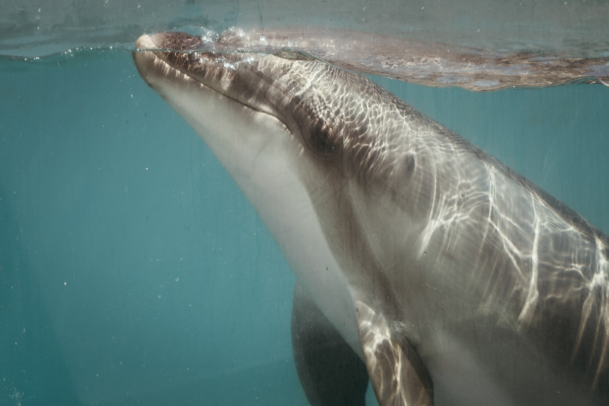 200 kilohertz. Stanislava Novgorodtseva — Photographer | Visual Artist | Educator