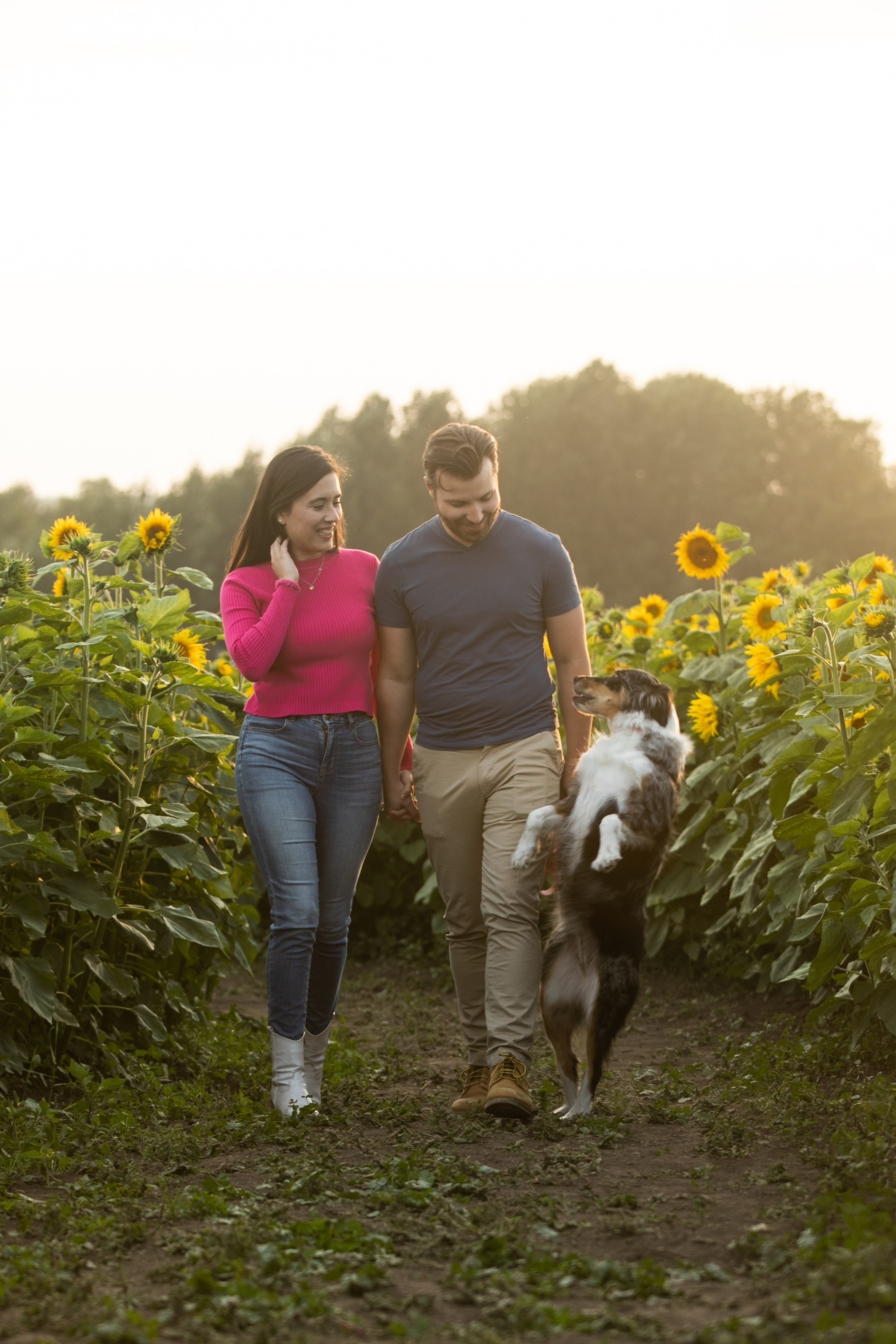 Bowden Sunmaze Ana Pau. Fotografía accesible en Calgary