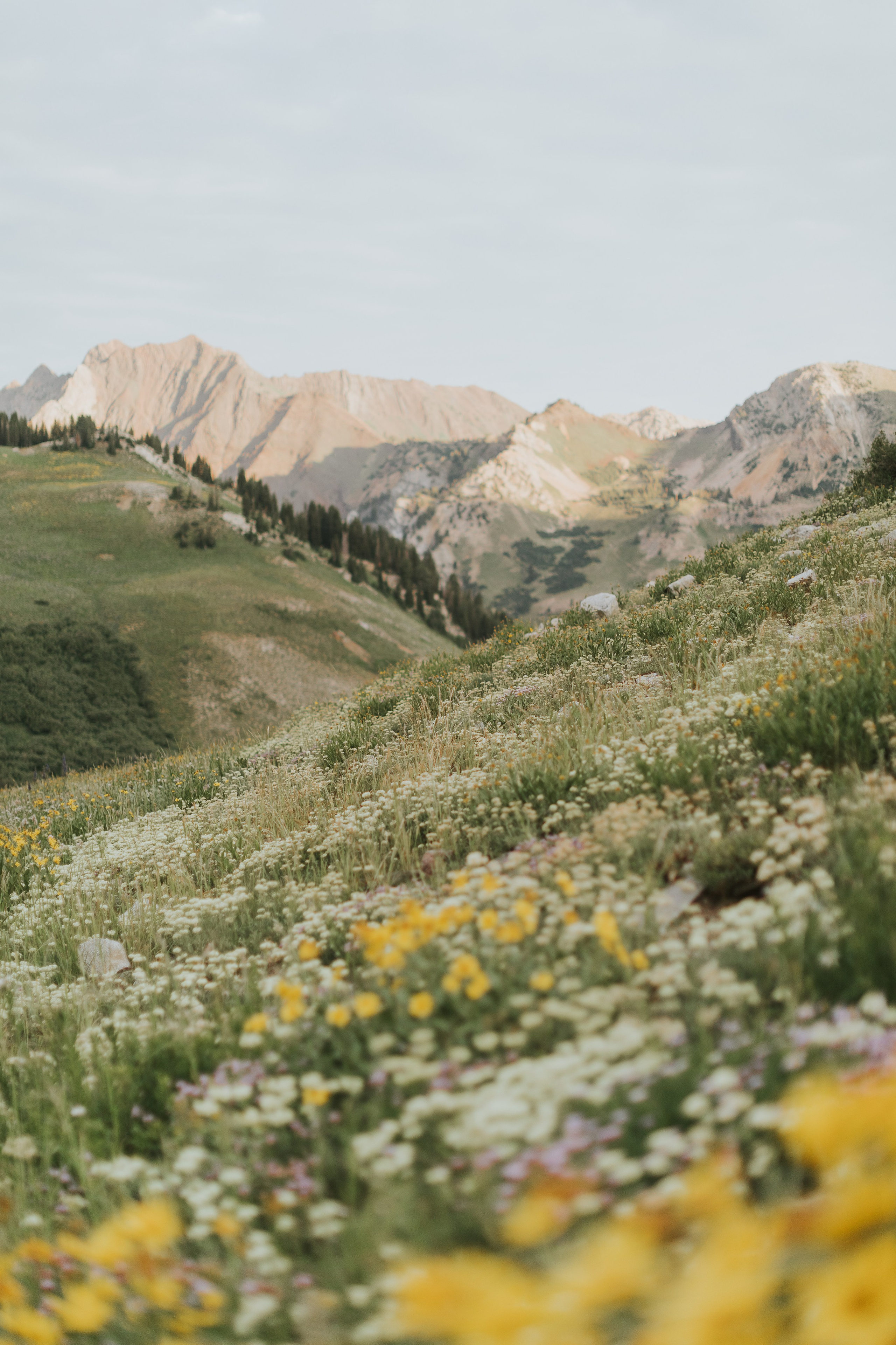 Nicole Grad | Utah Summer. Utah Family Photographer