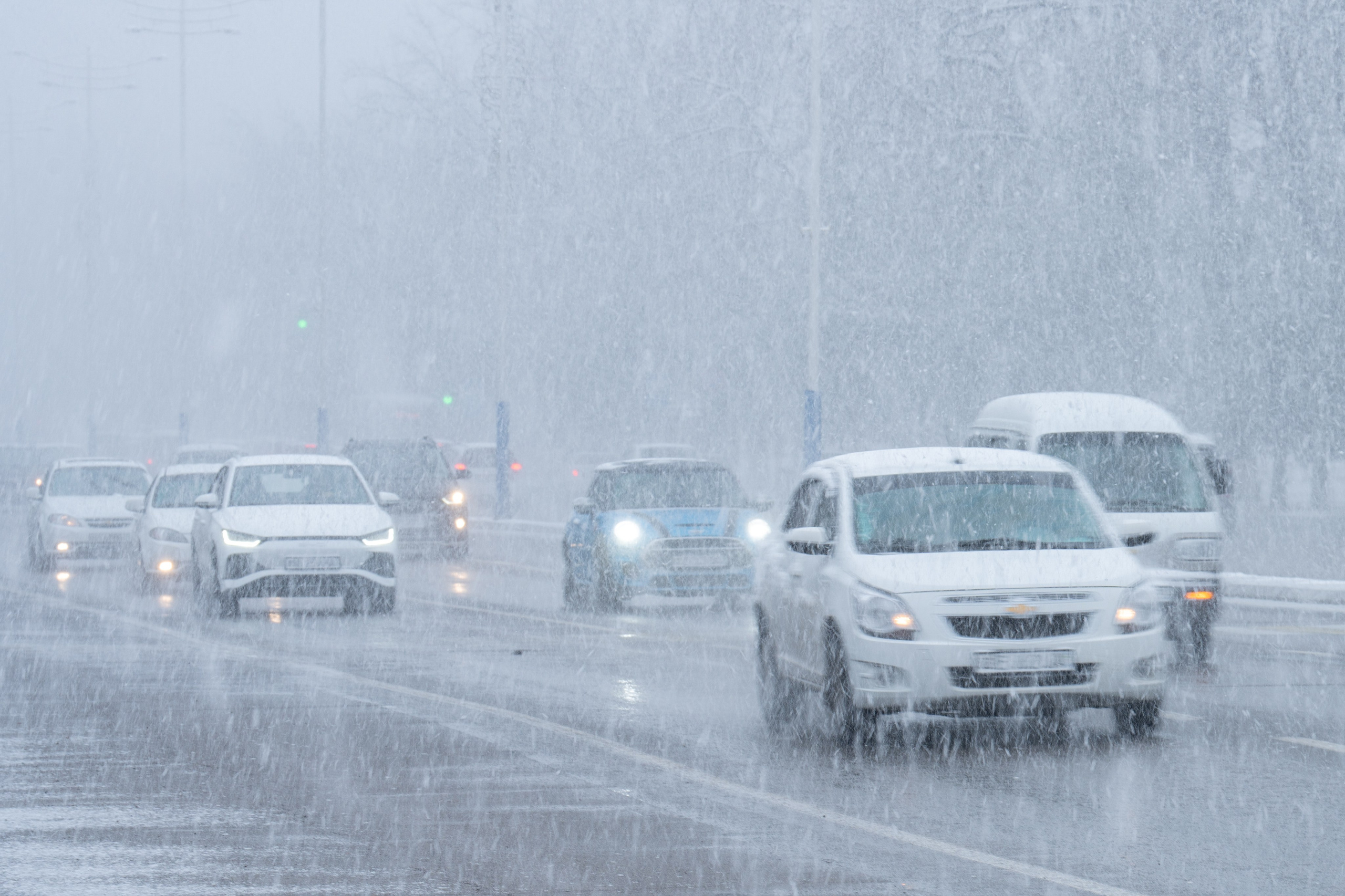 Первый снег в 2024 году. Георгий Намазов | Фотограф в Ташкенте