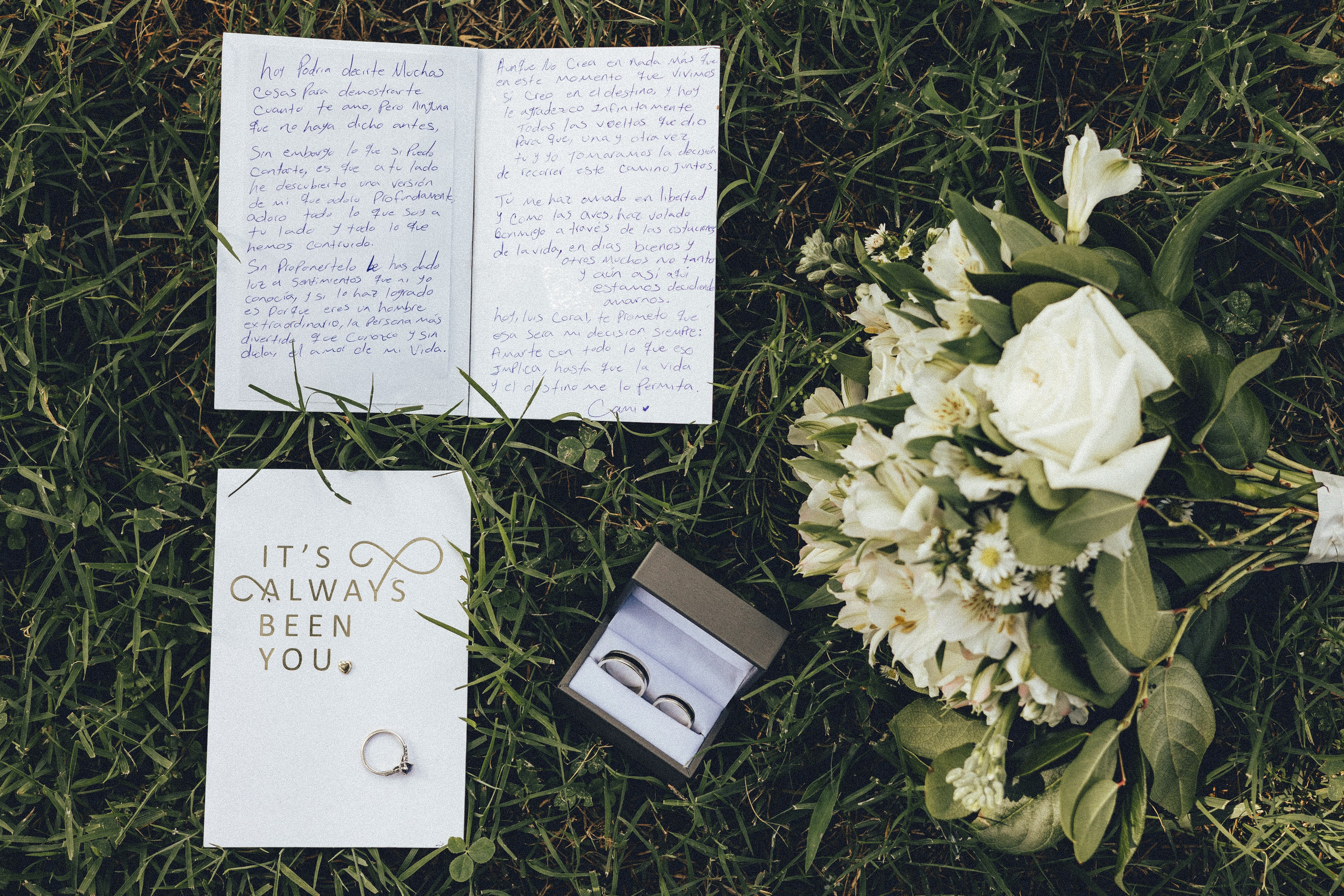 Wedding Camila&Luis. Sara Eulalia | Virginia Photographer