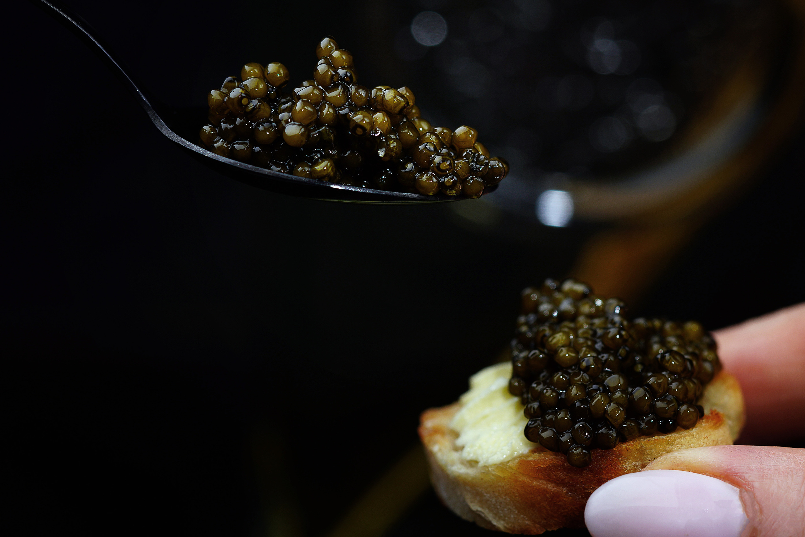 Food Fotografie. LUKIN IGOR Photography