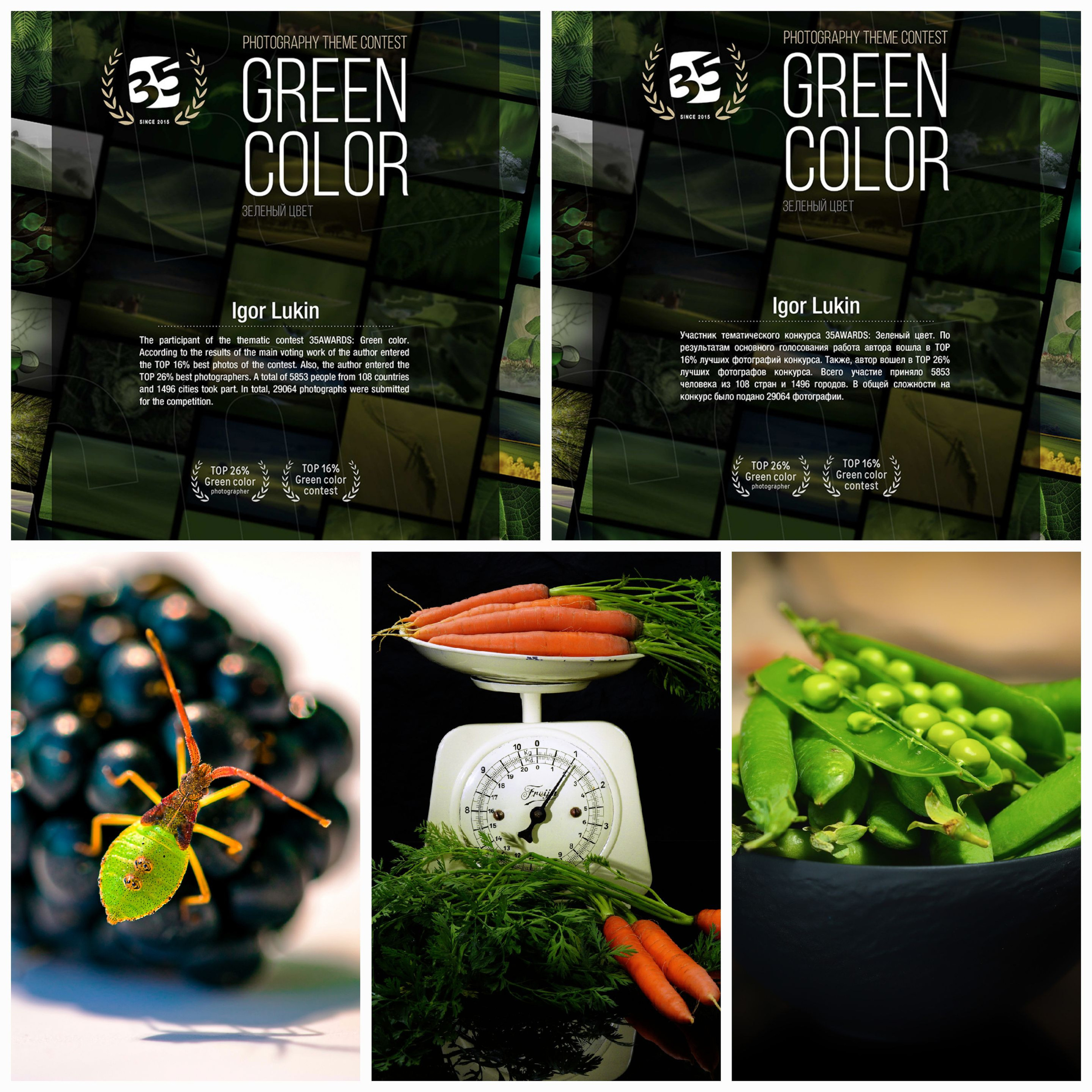 35AWARDS Green color. LUKIN IGOR Photography