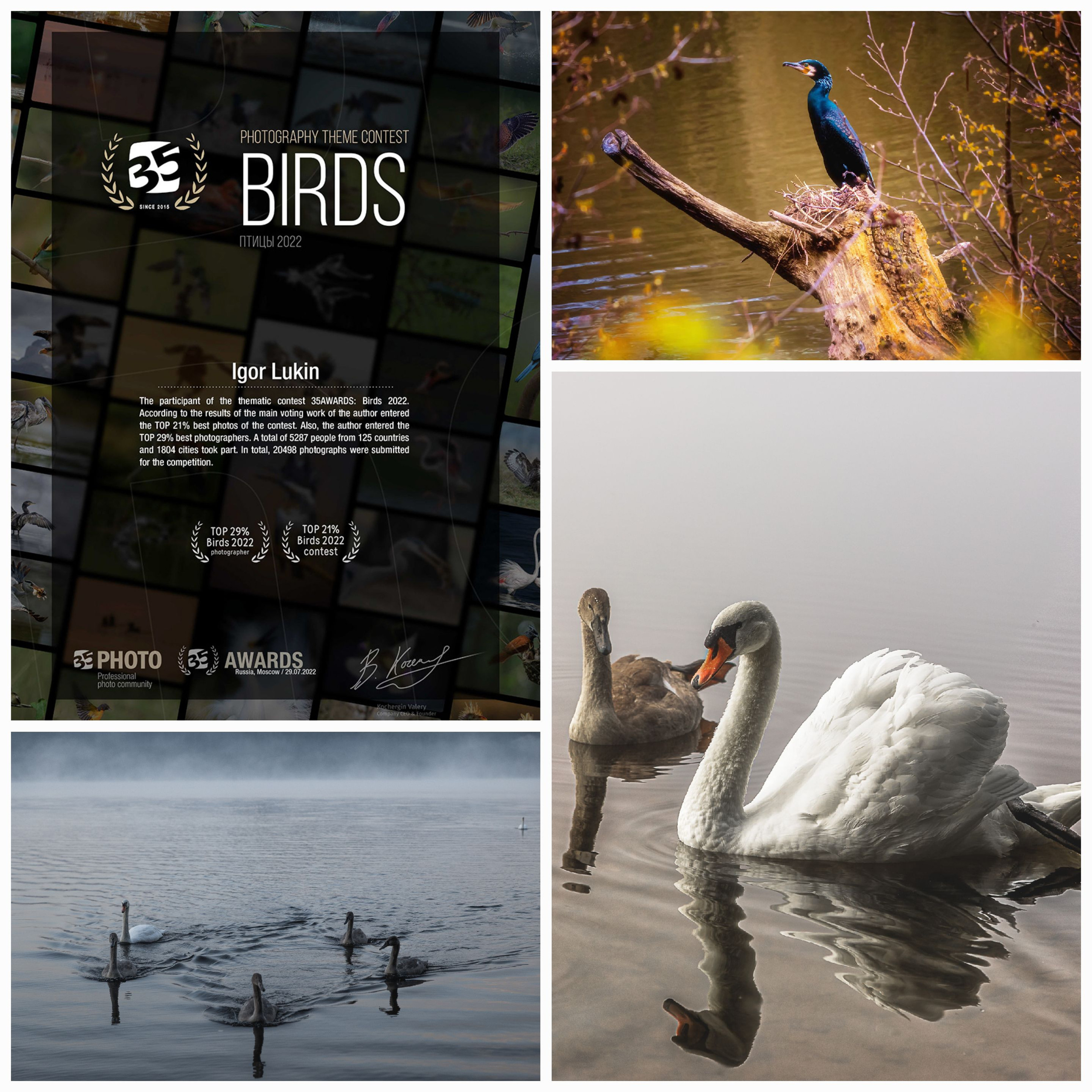 35 AWARDS 2022 VÖDEL. LUKIN IGOR Photography