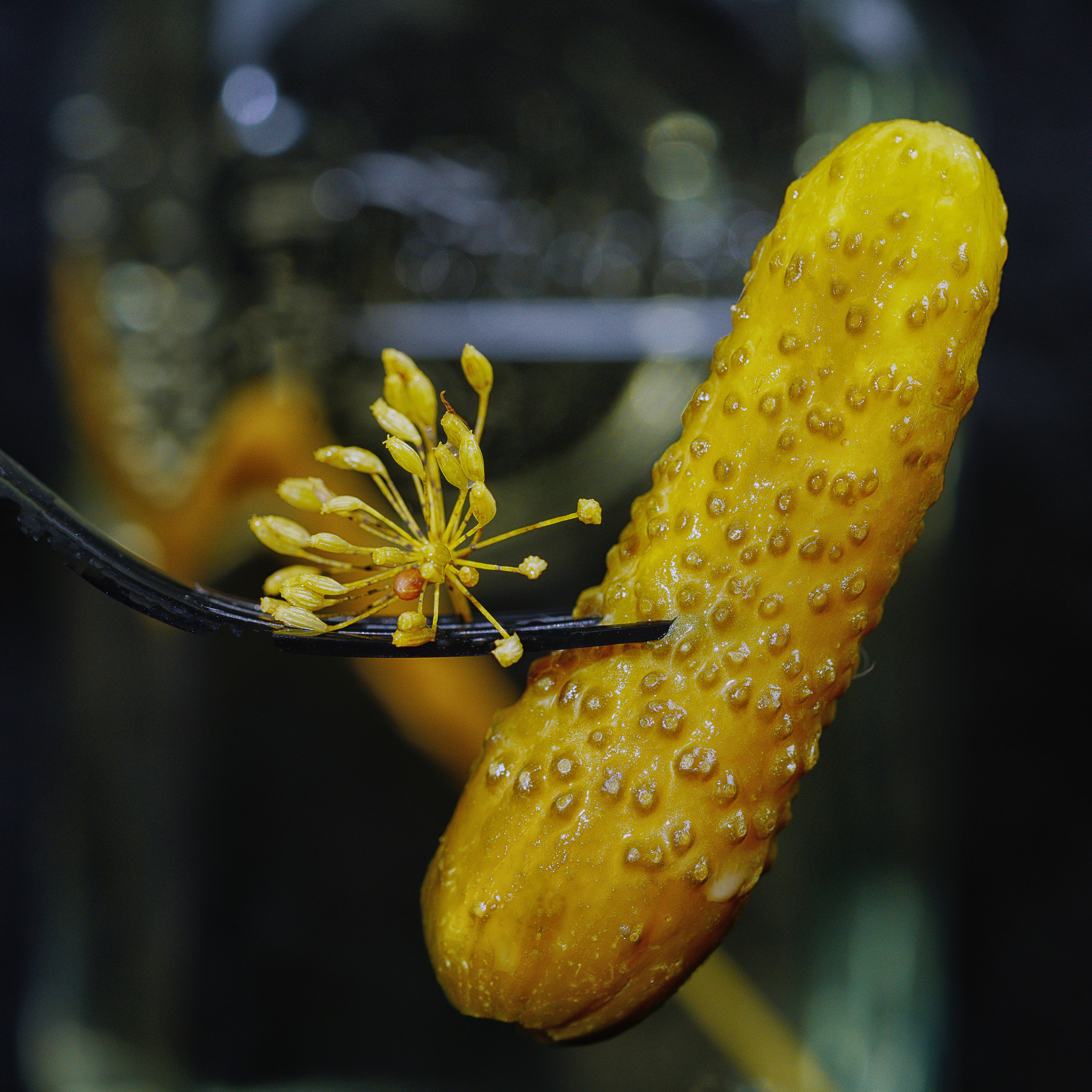 Food Fotografie. LUKIN IGOR Photography