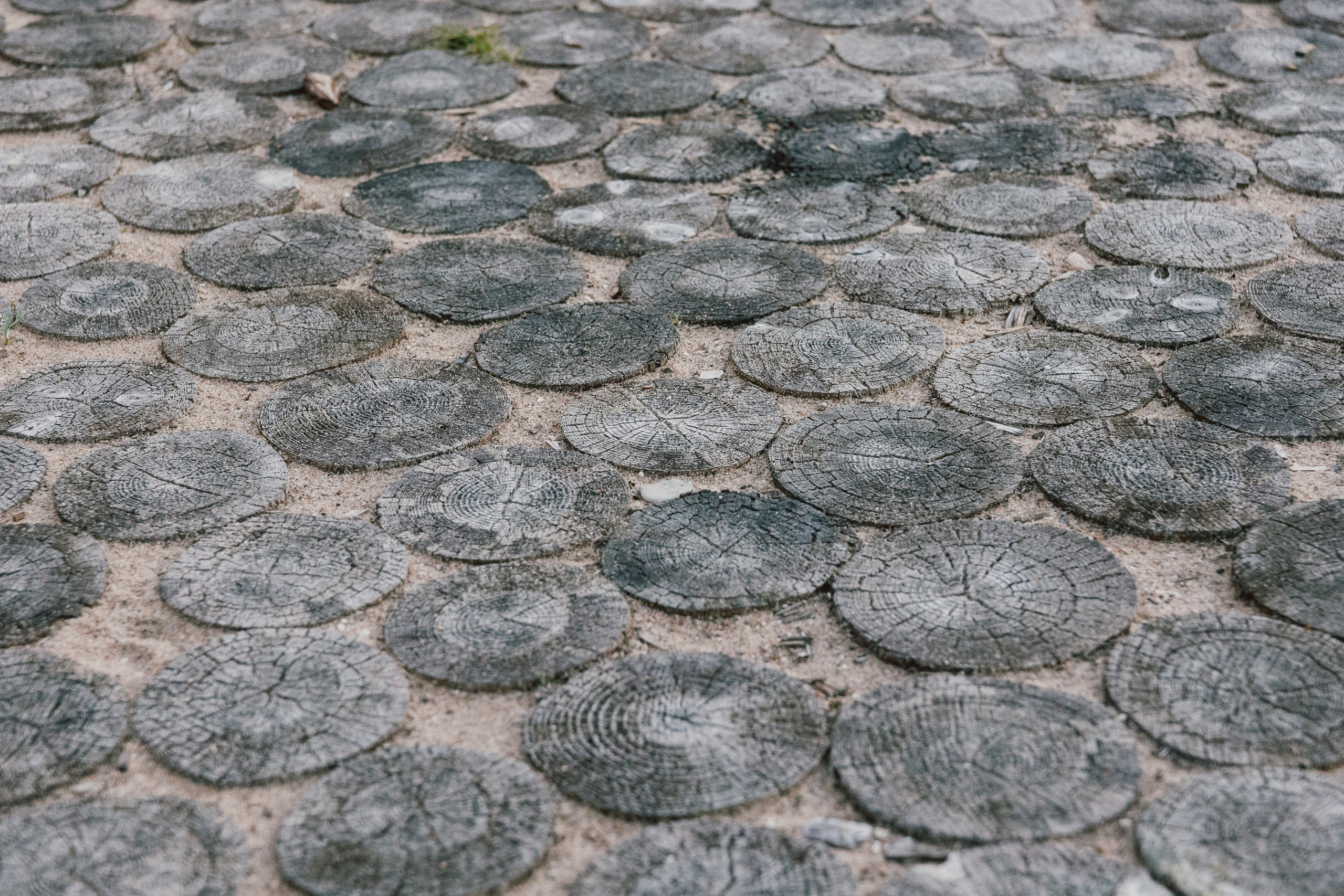 Dažādas fotogrāfijas. Sajūtu un mirkļu fotogrāfs no Rīgas, Mārtiņš Babris
