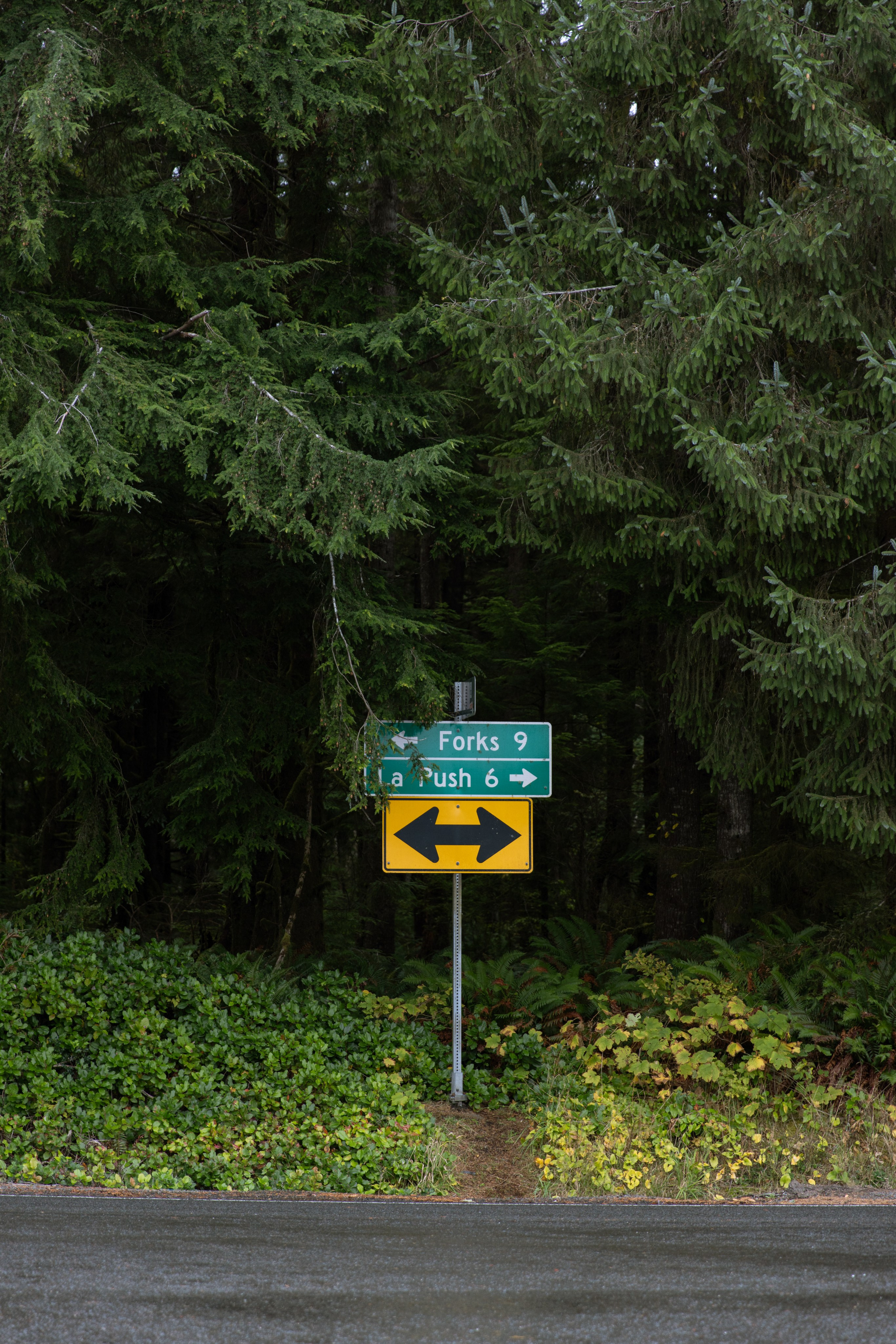 Twilight | Wallpapers. Photographer in Los Angeles. Julia Ishmuratova