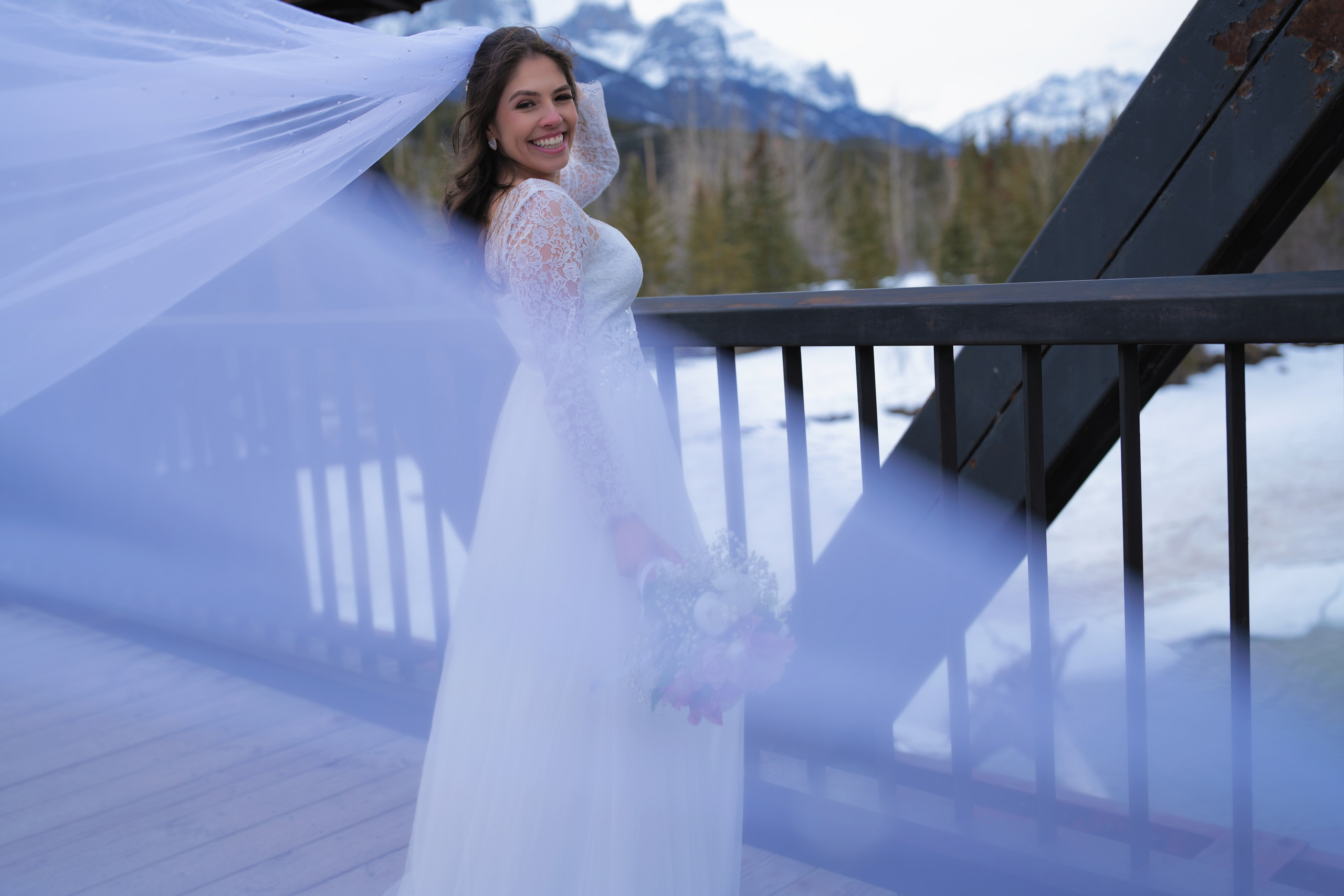 Ani + Elton. Allo Photography by Carlos Lima  in Calgary