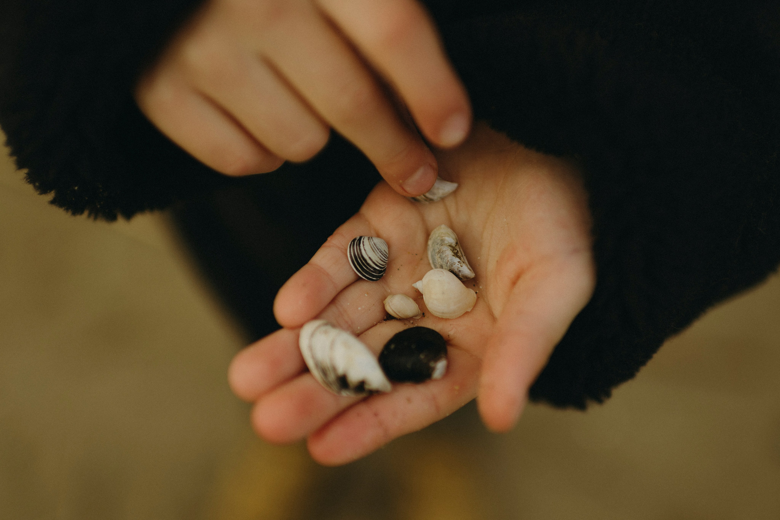 Nastya and Darian. Polina Sobol — family & documentary photographer in Bern. Outdoor & urban photo sessions for families, kids and couples