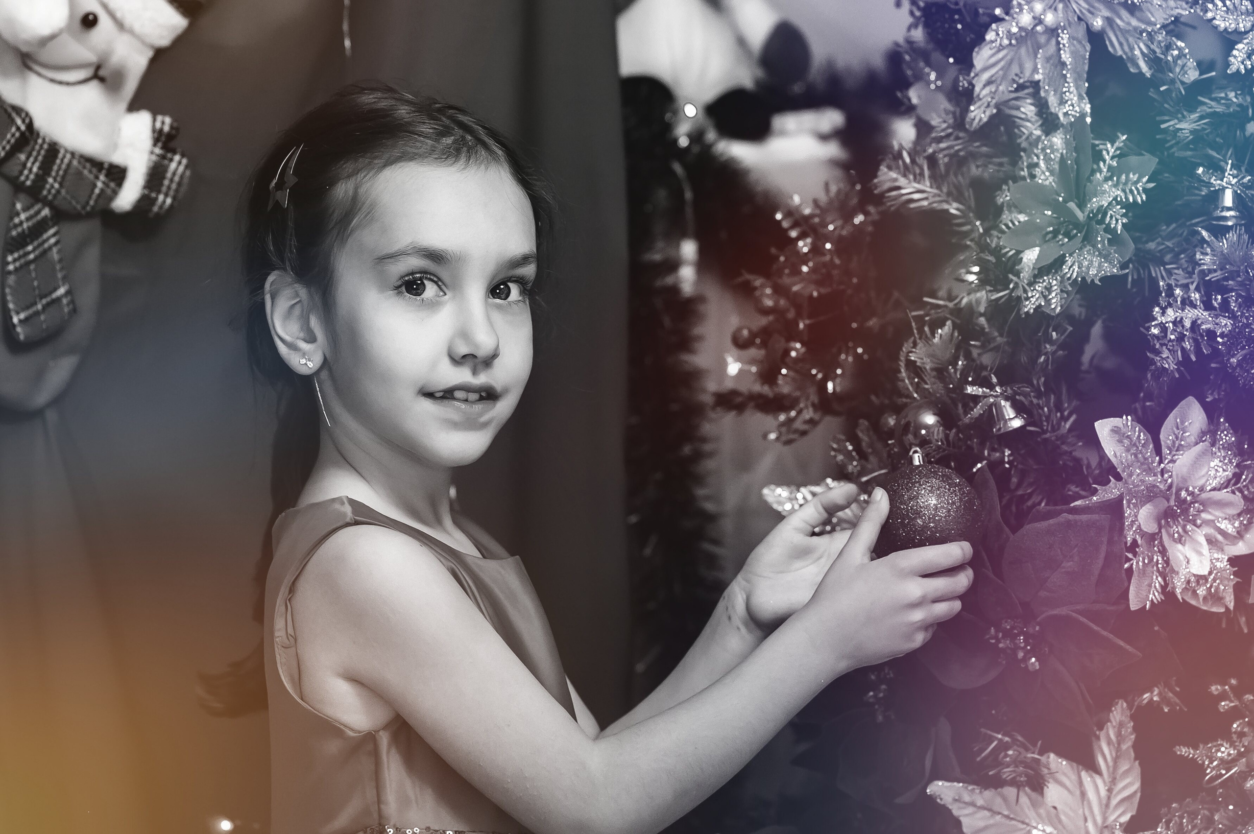 Sedinta Craciun Sofia