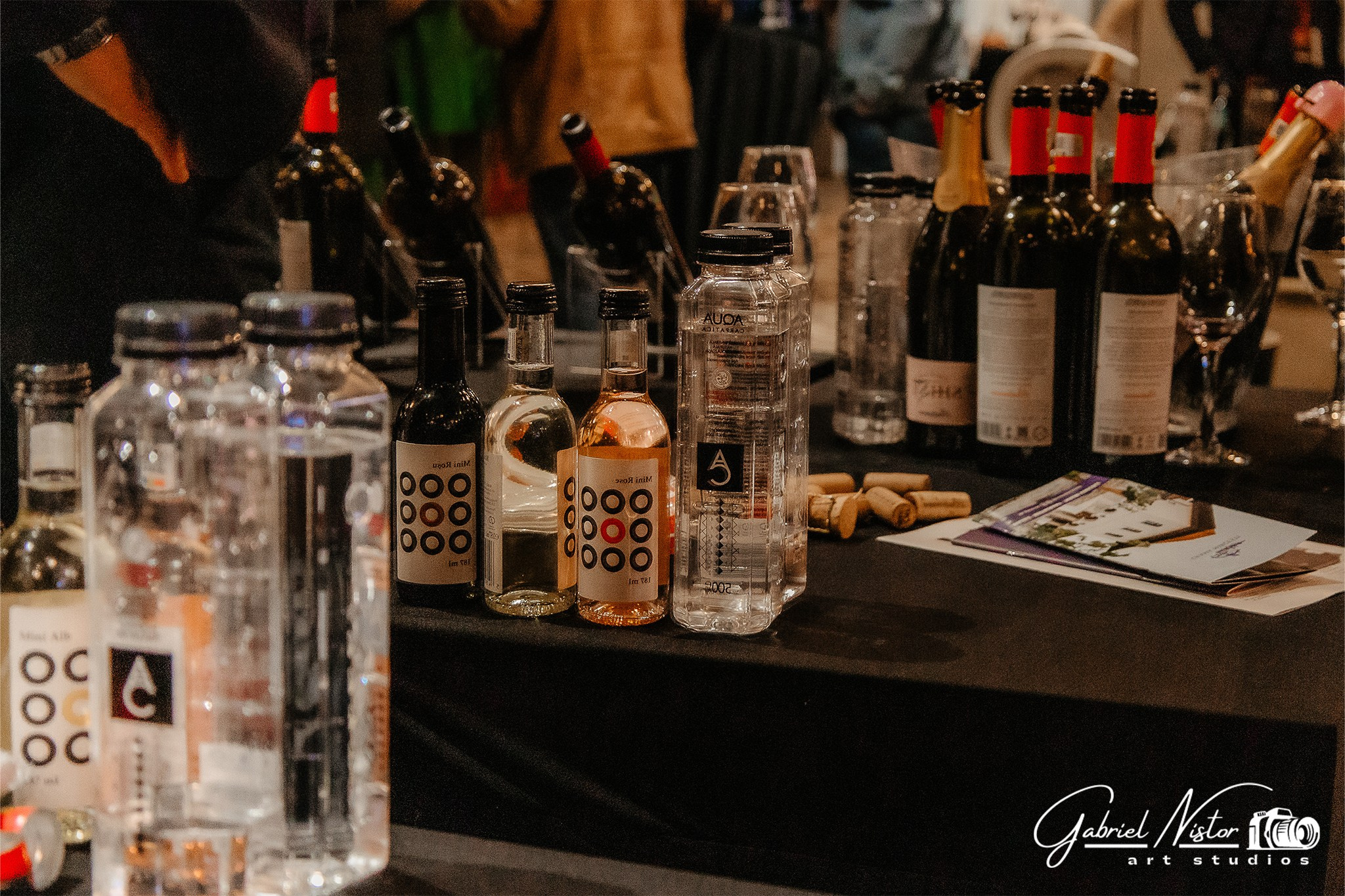 Pleiada Iasi - Wine & Friends. Gabriel Nistor Art-Studios — Photographer / Videographer Iasi