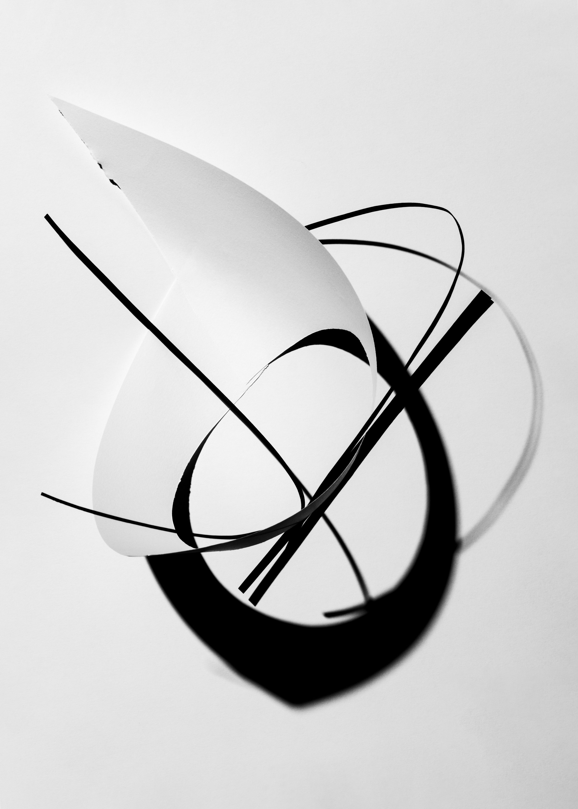 still life contemporary composition  Marina Tsaregorodtseva