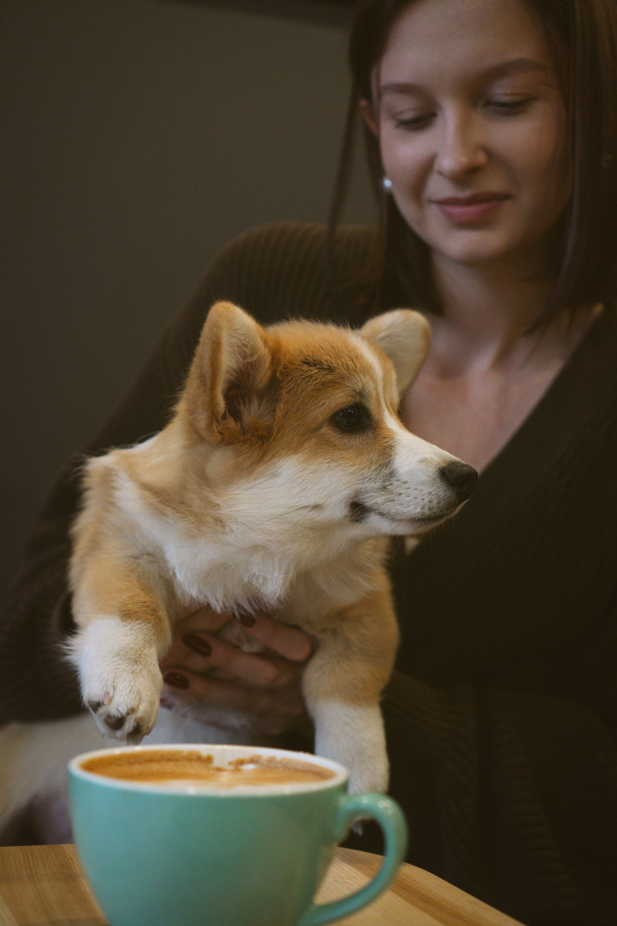 Anastasia and her Ada, Pembroke Welsh Corgi. Kat Laisaar — Pet photographer in Tallinn