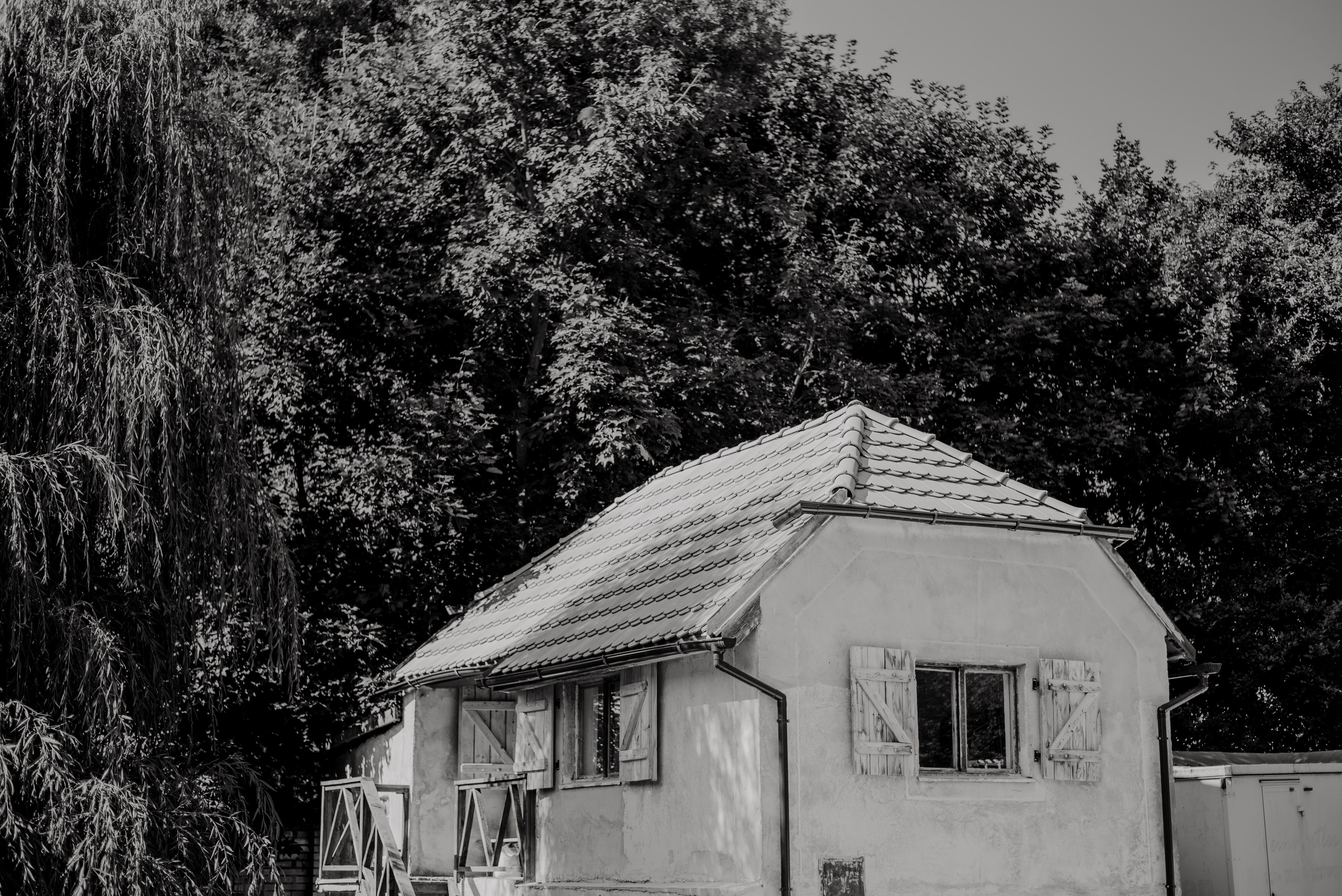 Czech and Portugal Photographer. Lifestyle, wedding and family photographer