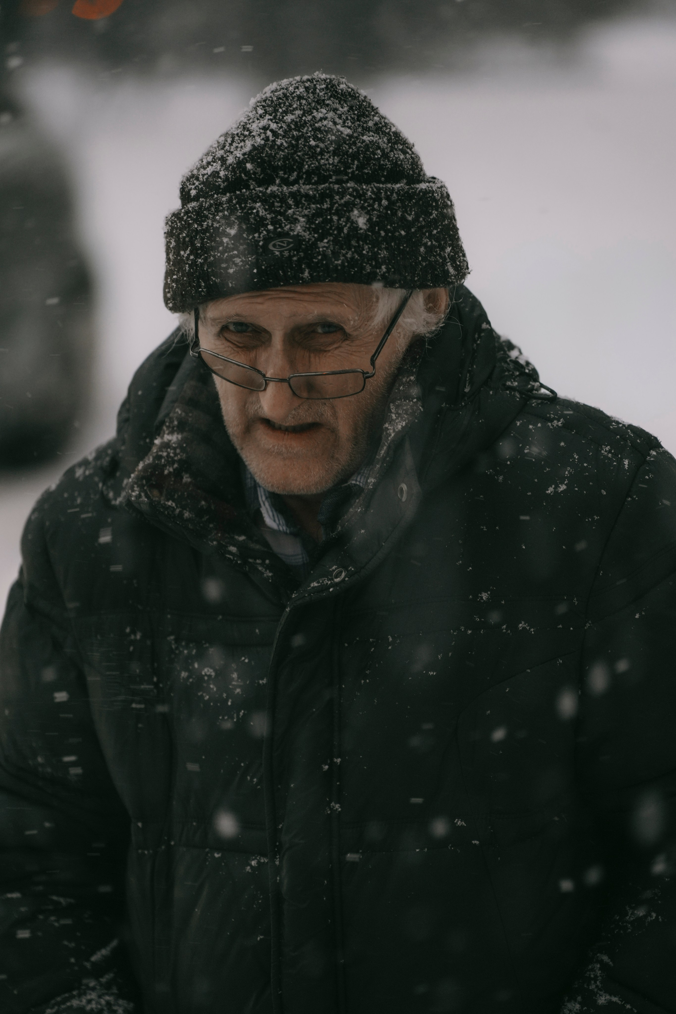 2024. Стрит-фотография, полная абсурда, идиотизма и красоты