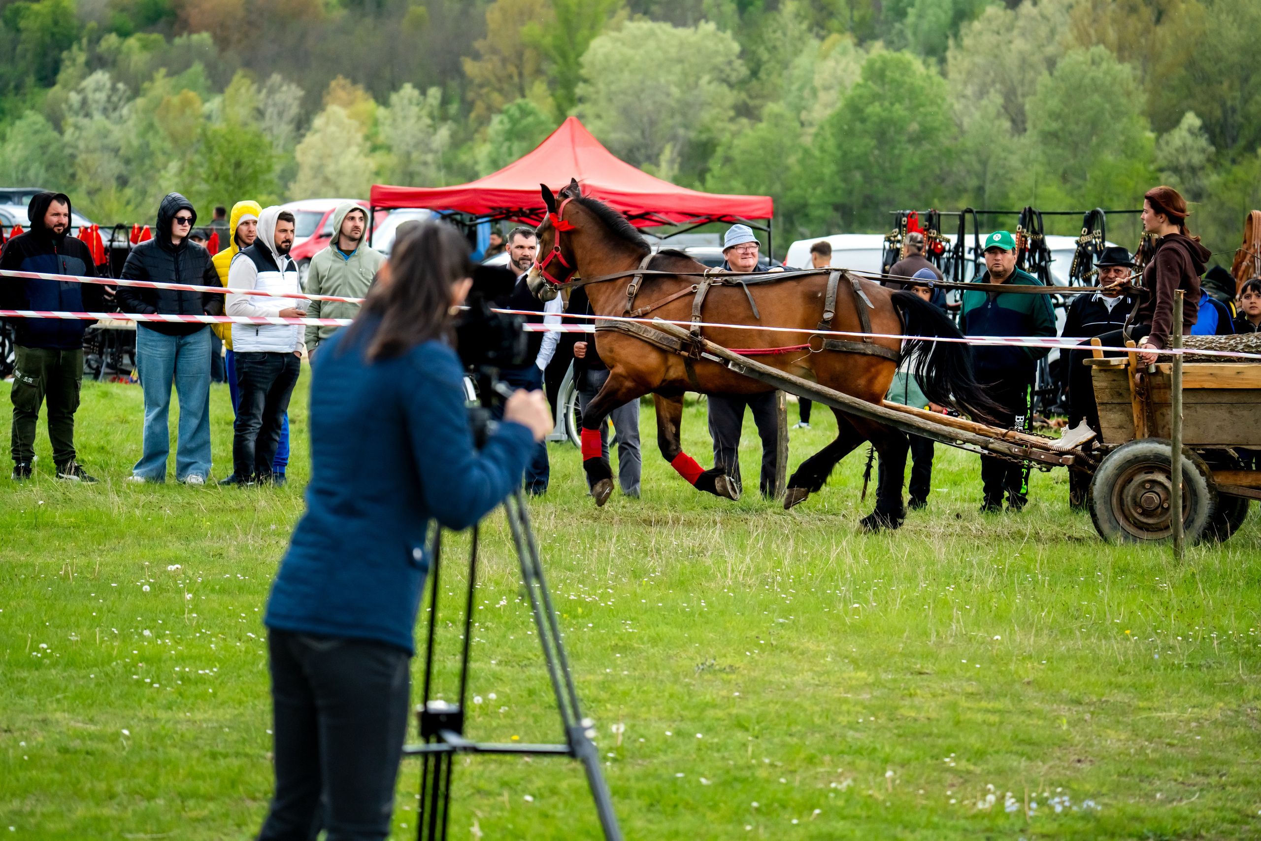Concurs Ecvestru Vărbilău ediția a 4-a. Mihai Alexandra Events