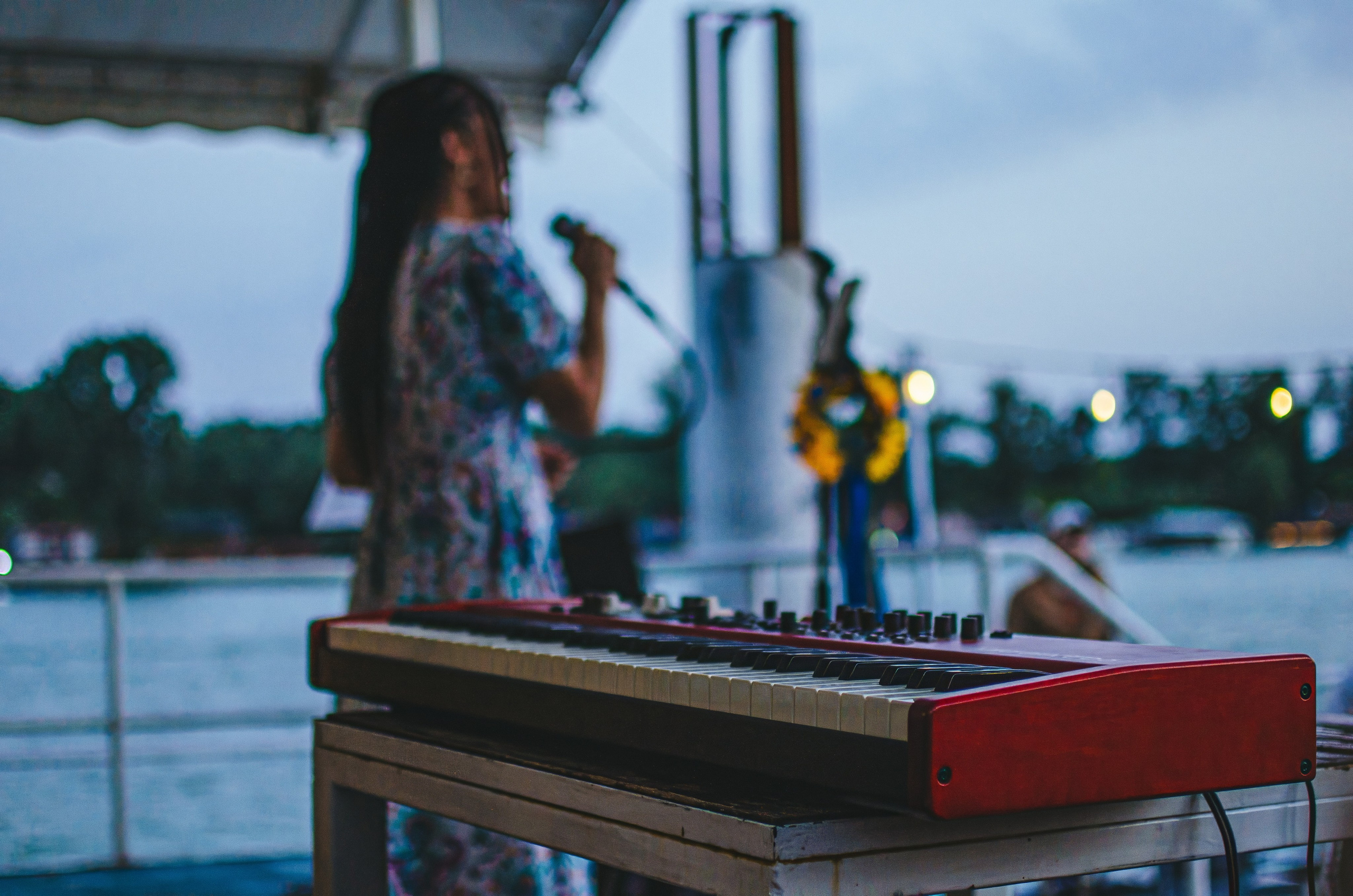 Musical house concerts. Event photographer Alena Iurchenko