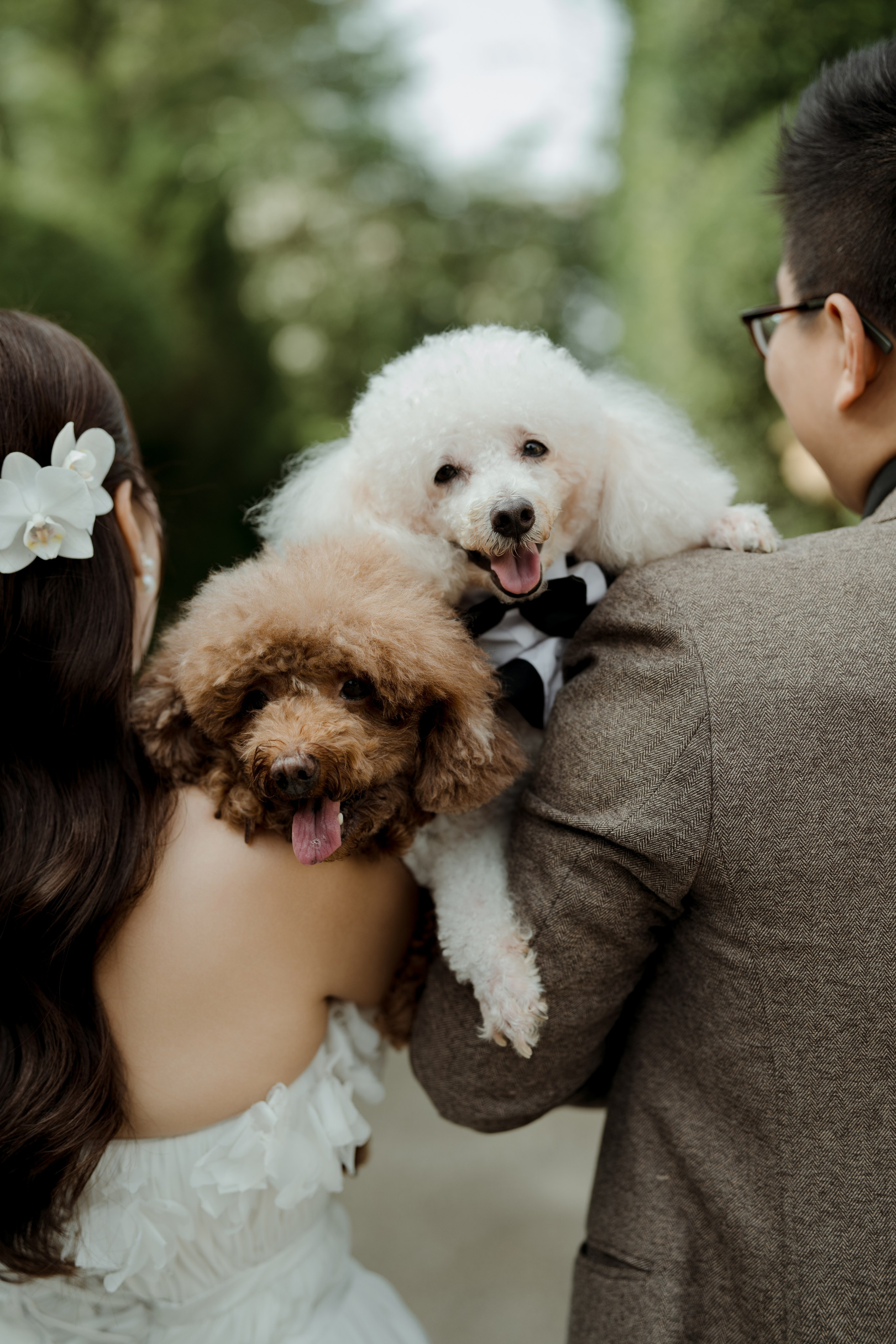 Lap + Thuy Anh. BenColor Studio