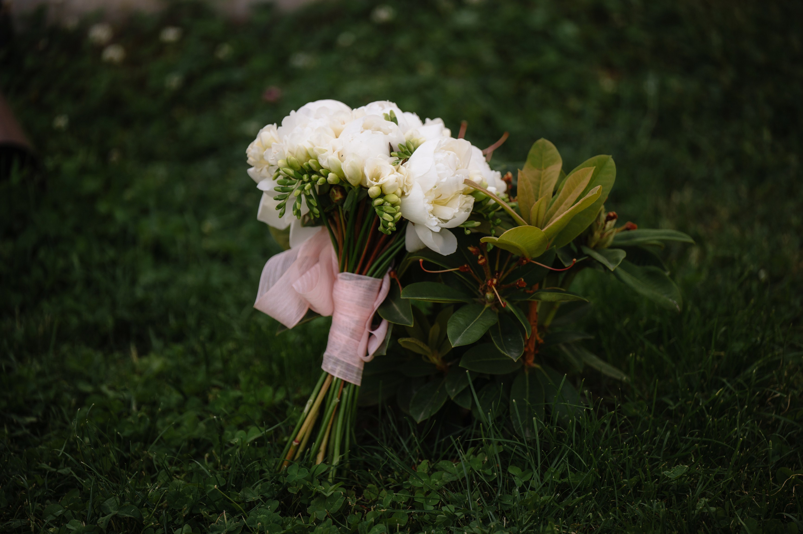 NUNTA Tudor si Stefana. Laurentiu Stefan StoryTeller