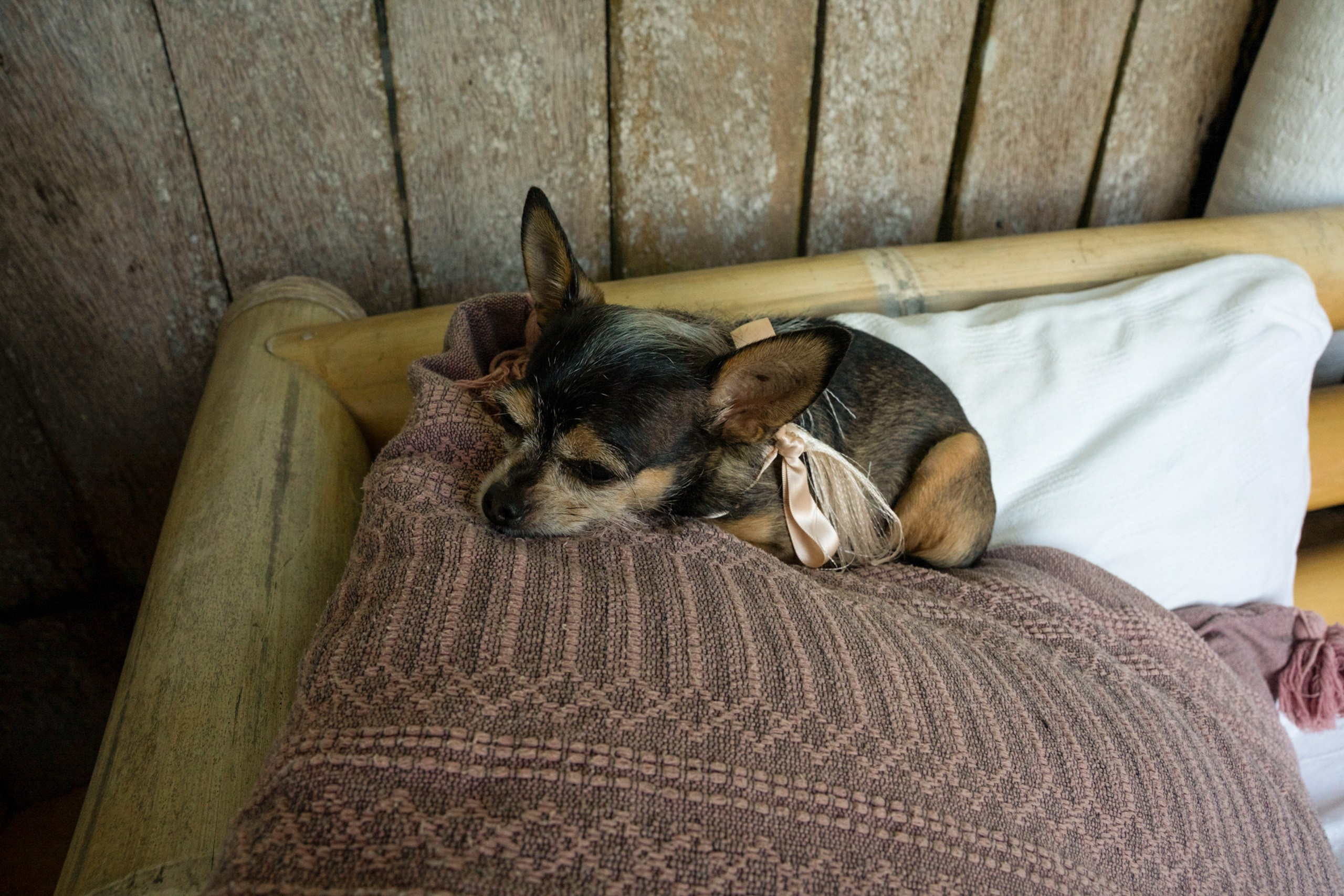 Marlene & Issac. Elopement & Lifestyle Wedding Photographer
