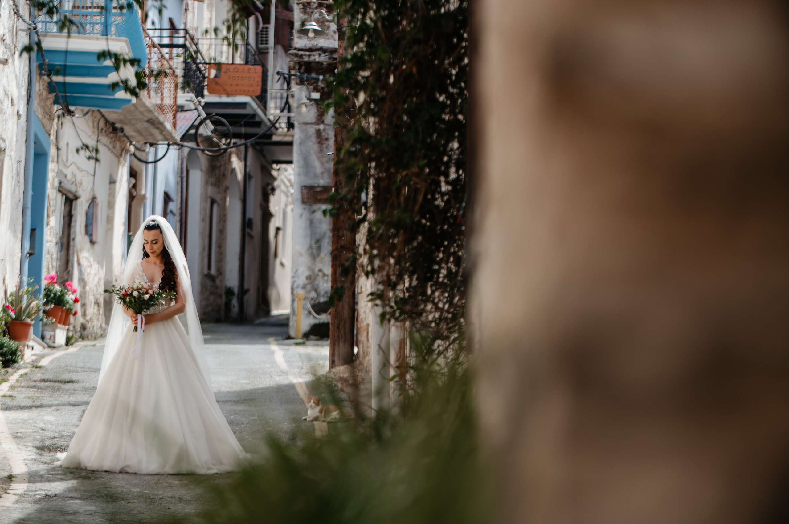 AfterDay Y & E. AdrianOltean.wfolio.pro