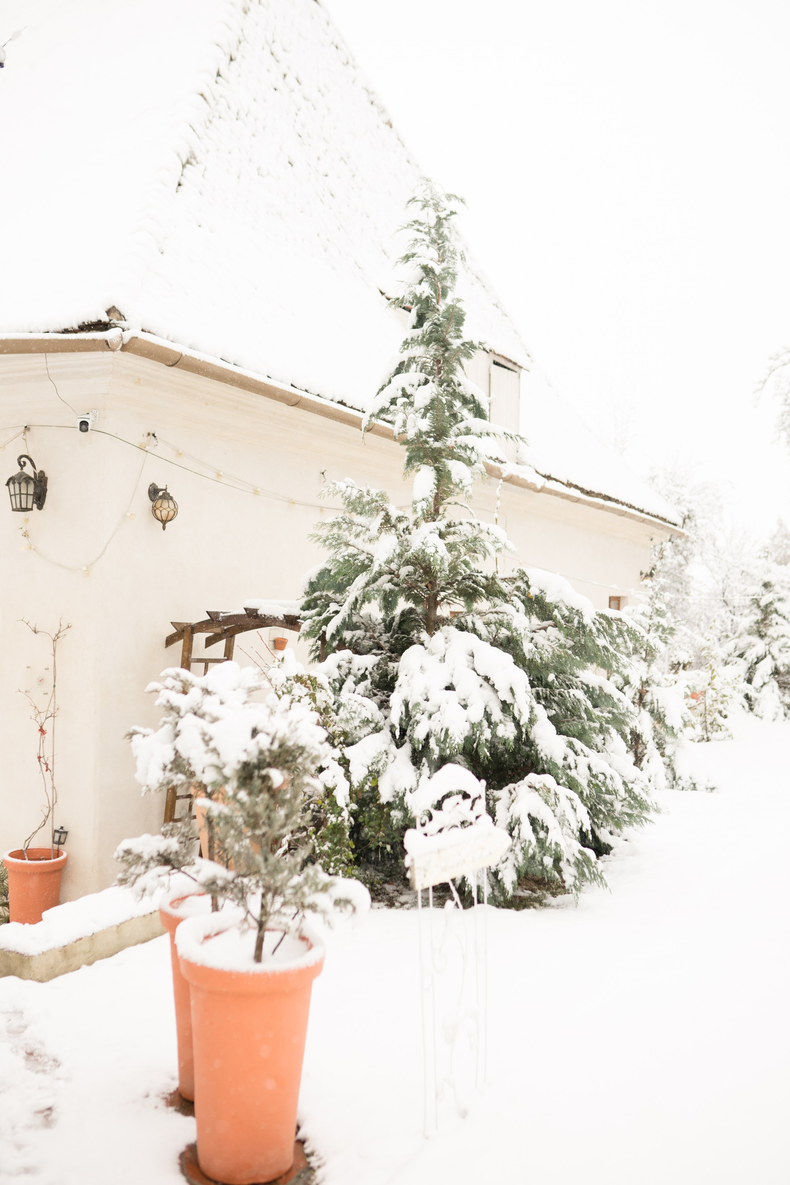 Fotografie de Eveniment Brașov: Povești Vizuale | Mădălina Beda. Madalina Beda- Artist vizual, fotograf, doula la nastere, consultant babywearing Brasov si in toata tara