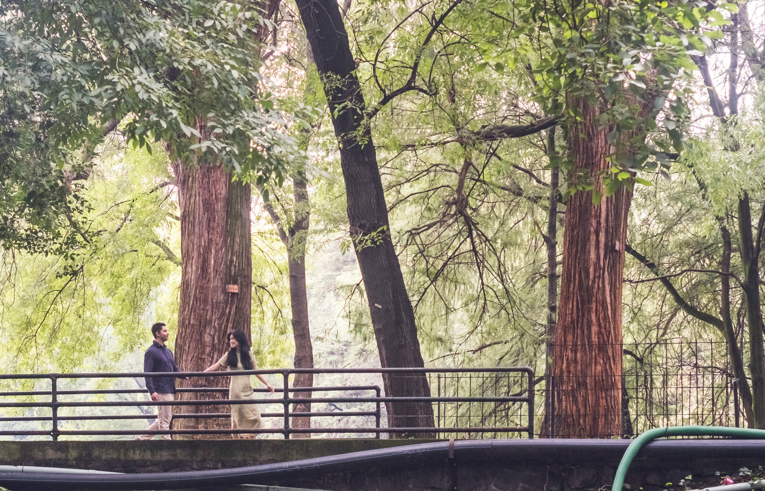 Julie & Marvin. Wedding and family photographer in Mexico City
