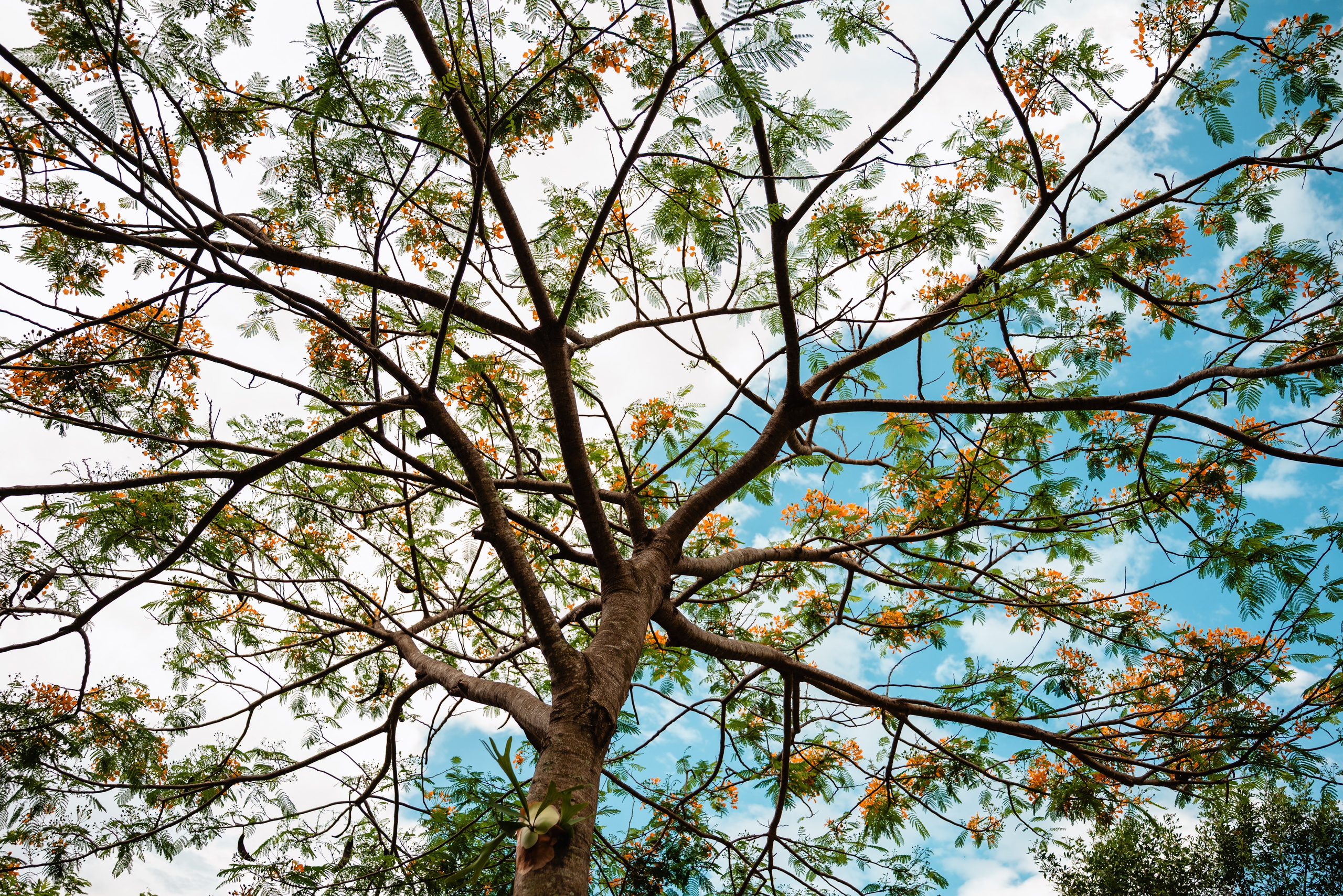 OS 5 anos da Bianca. Fotografo de casamentos e famílias no Espirito Santo — Marllus Milanez