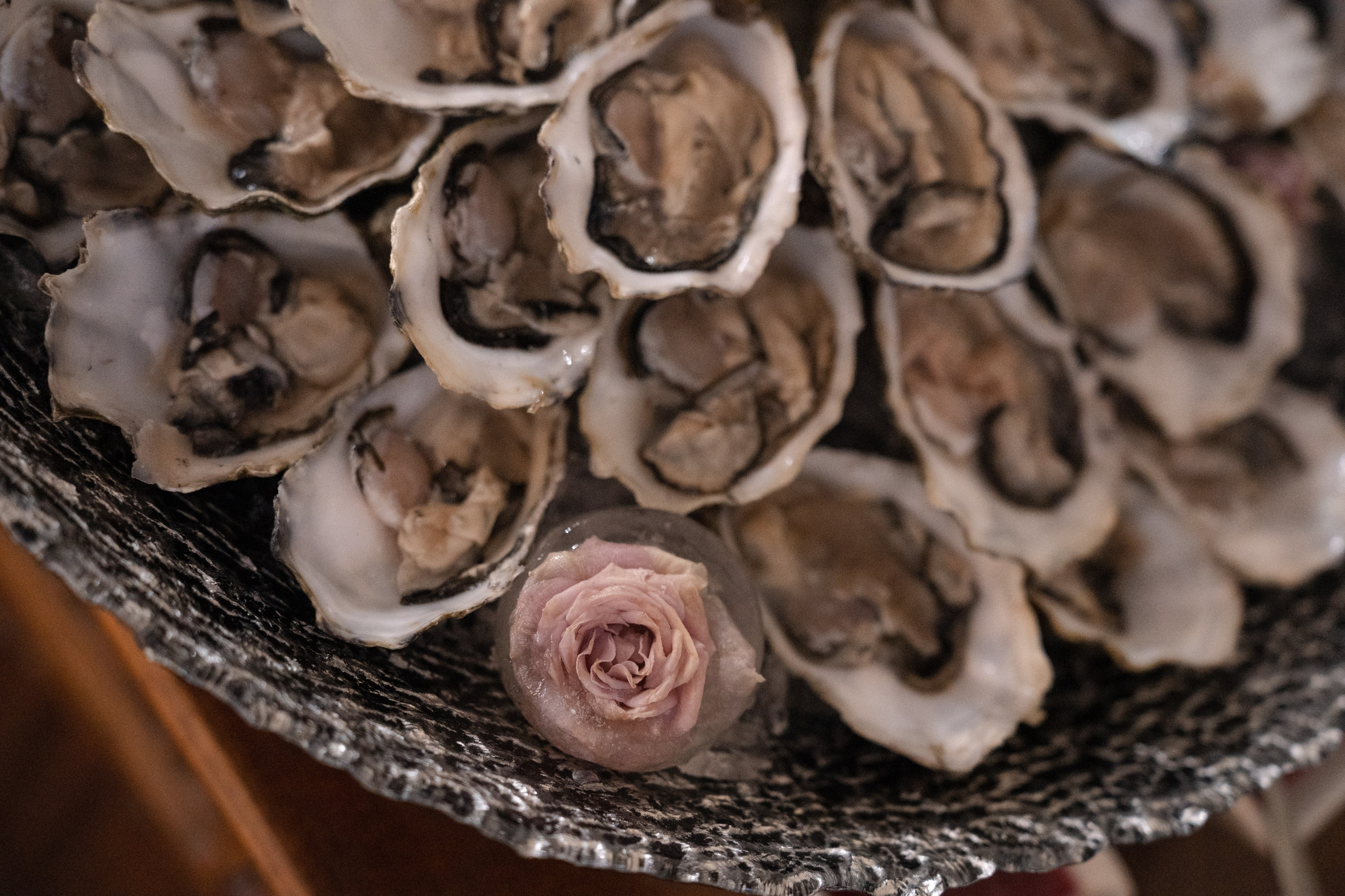 Celebre Old Town. Event Photography