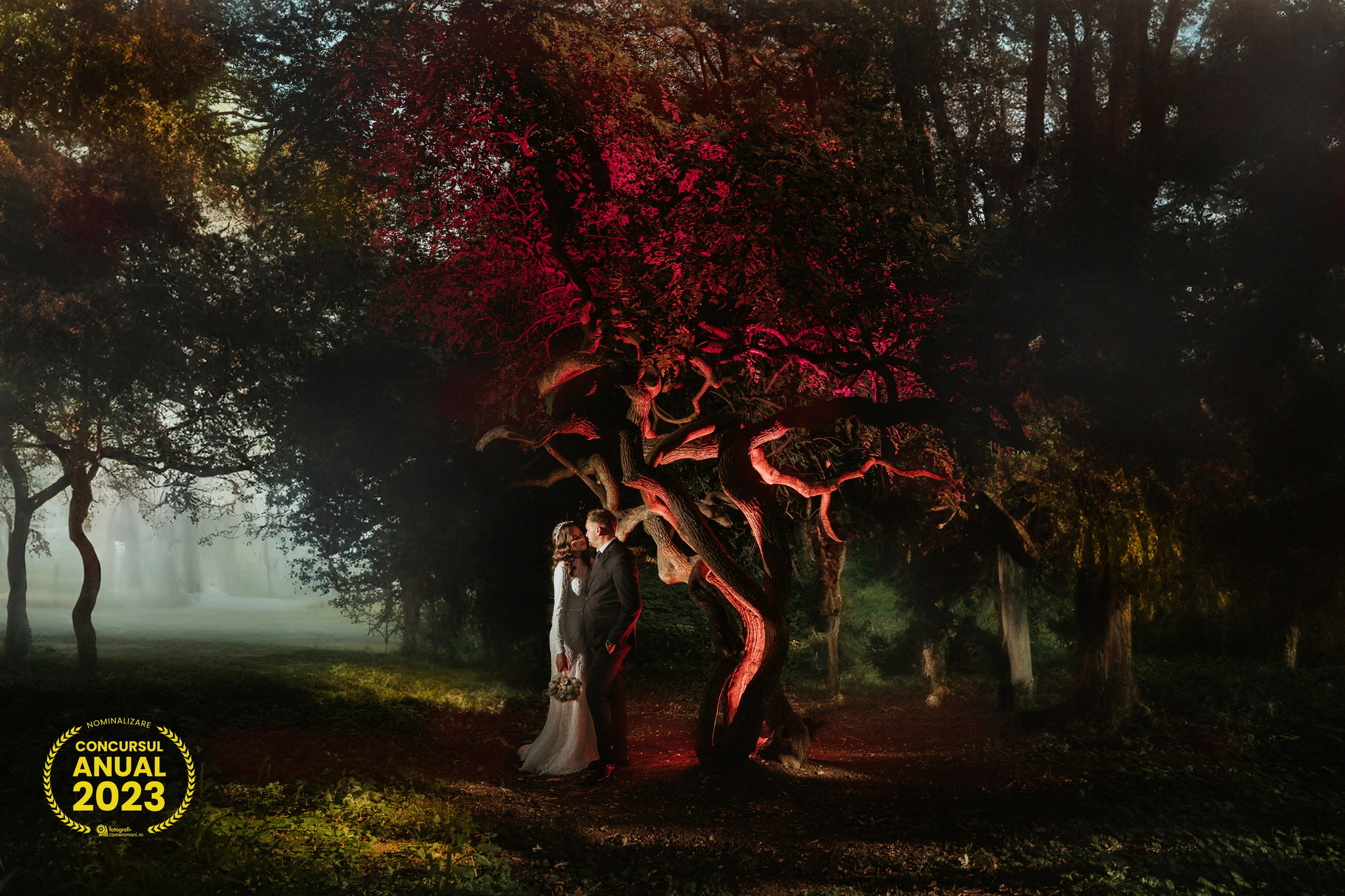 Best Of. Spoiala Brothers — Wedding Films & Photography