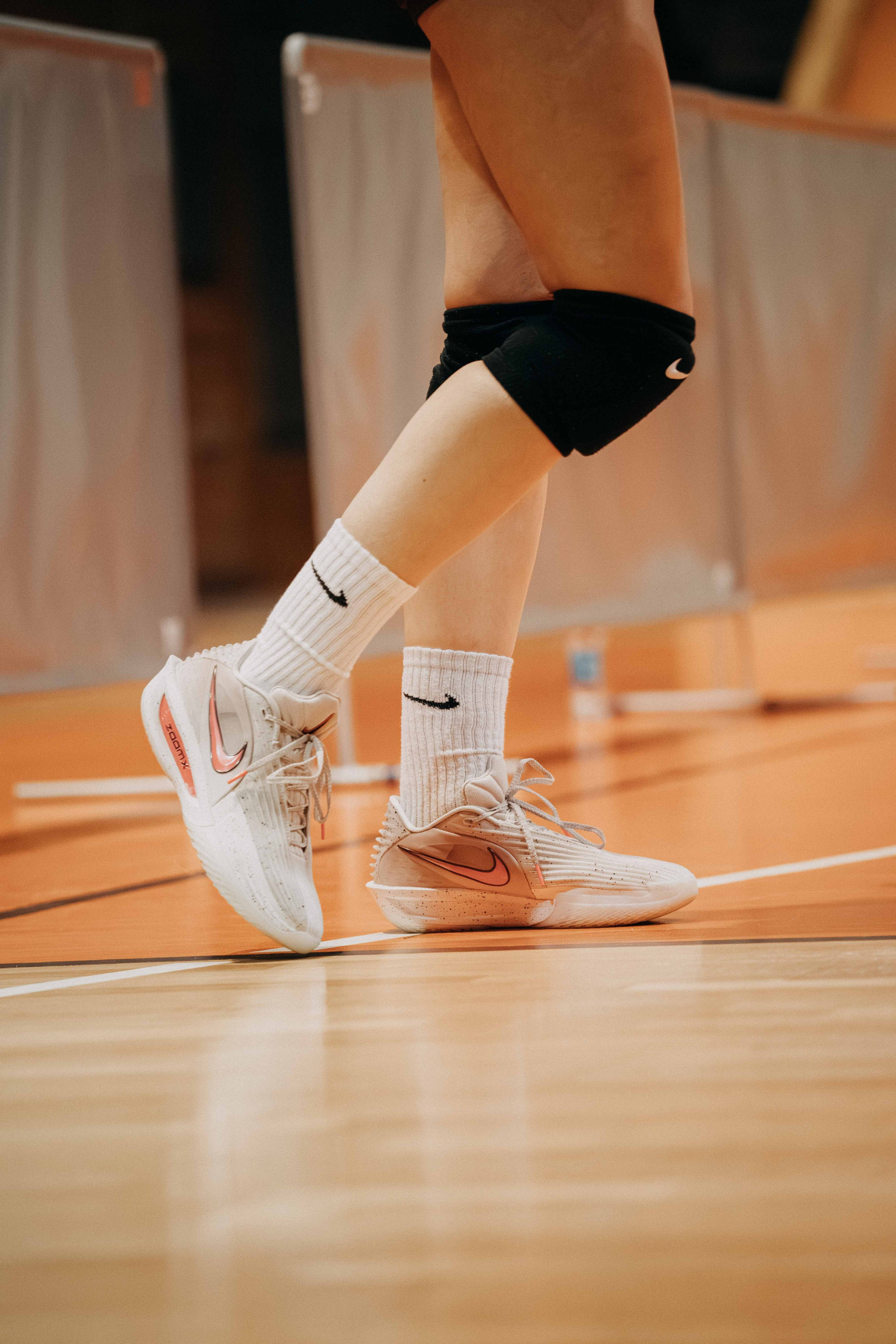 ŽOK Bosna — 2025/2026