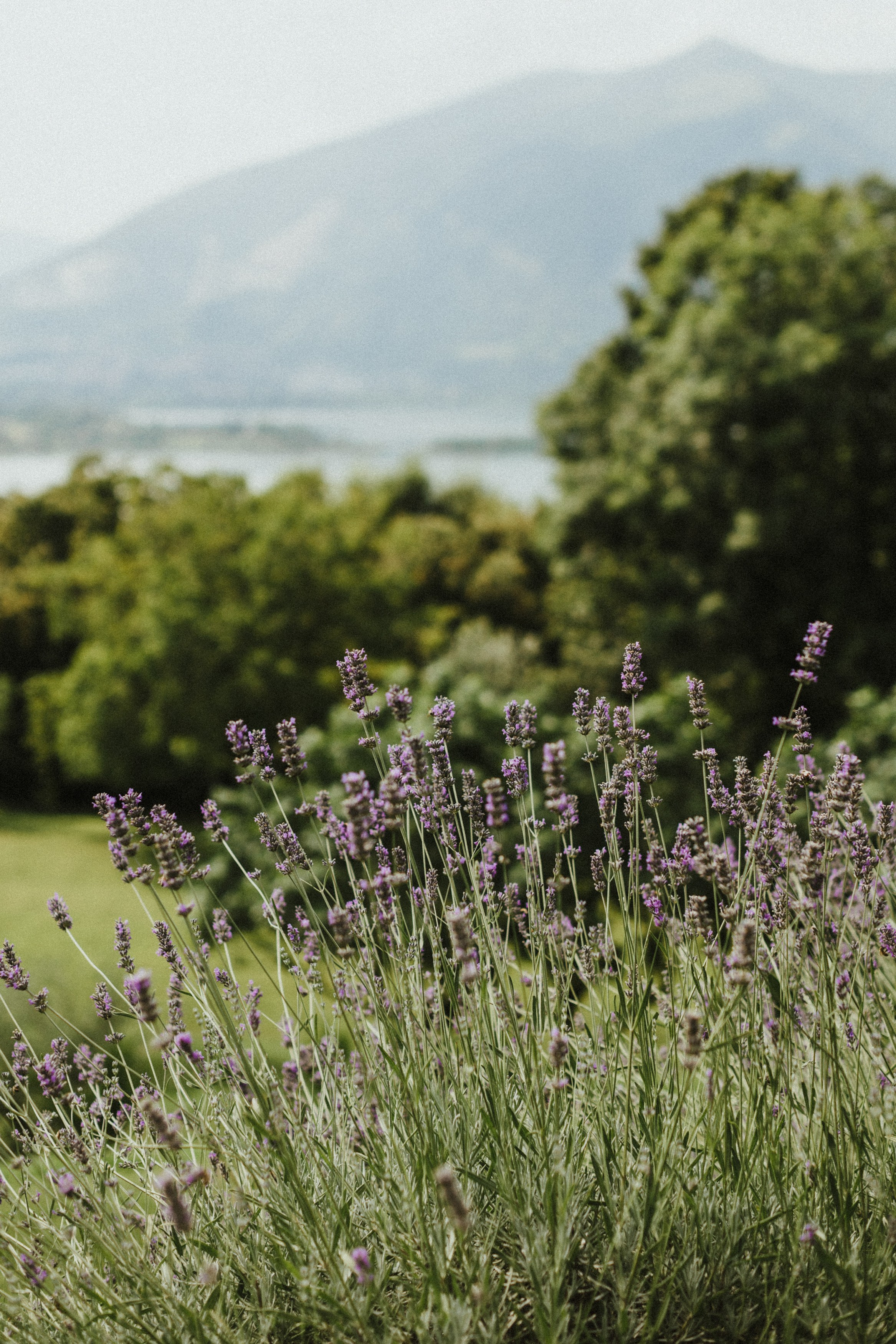 Weddings. Destination Wedding photographer in Sharm el Sheikh, Egypt