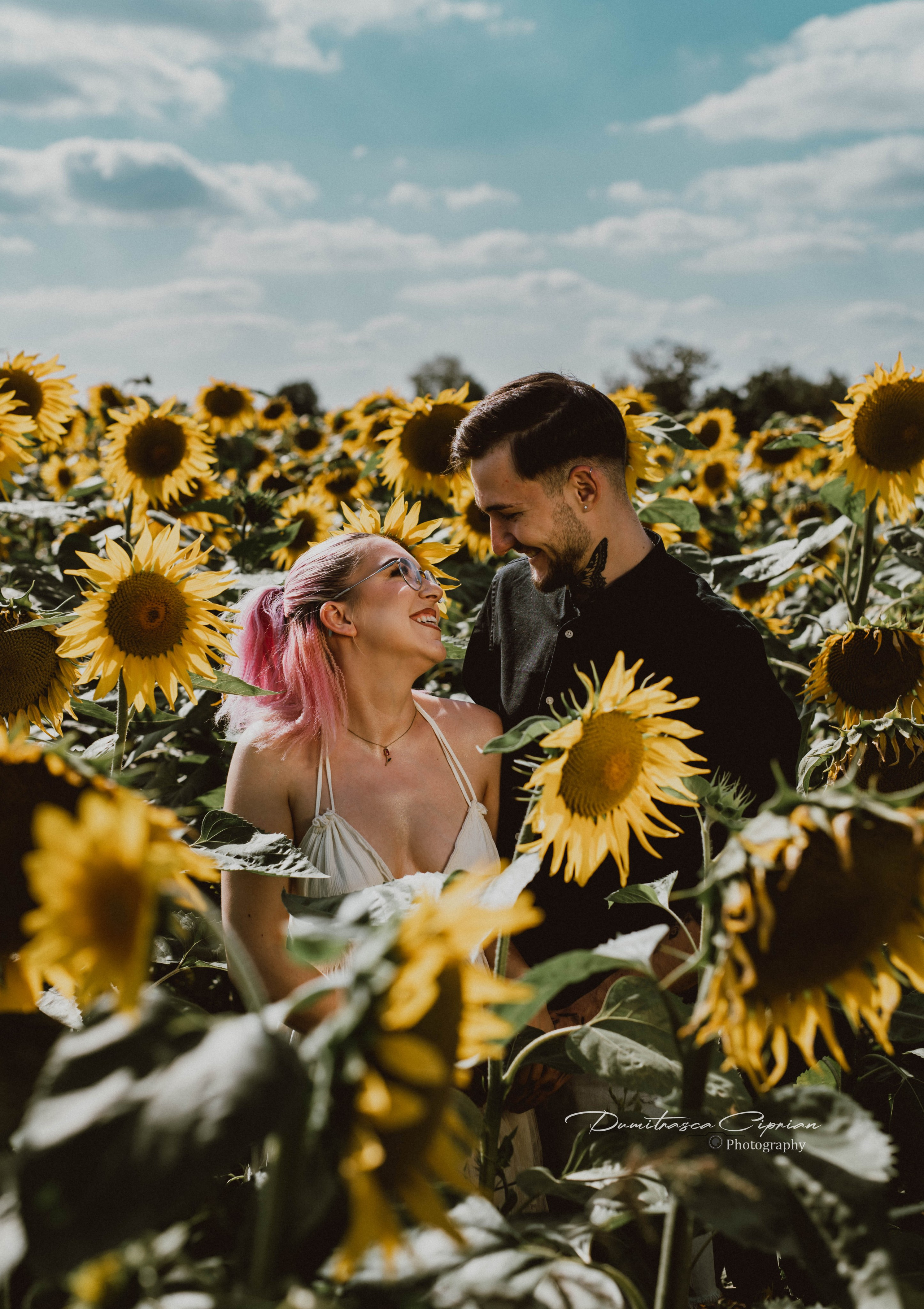Two souls in love among sunflowers. Dumitrasca Ciprian Photography