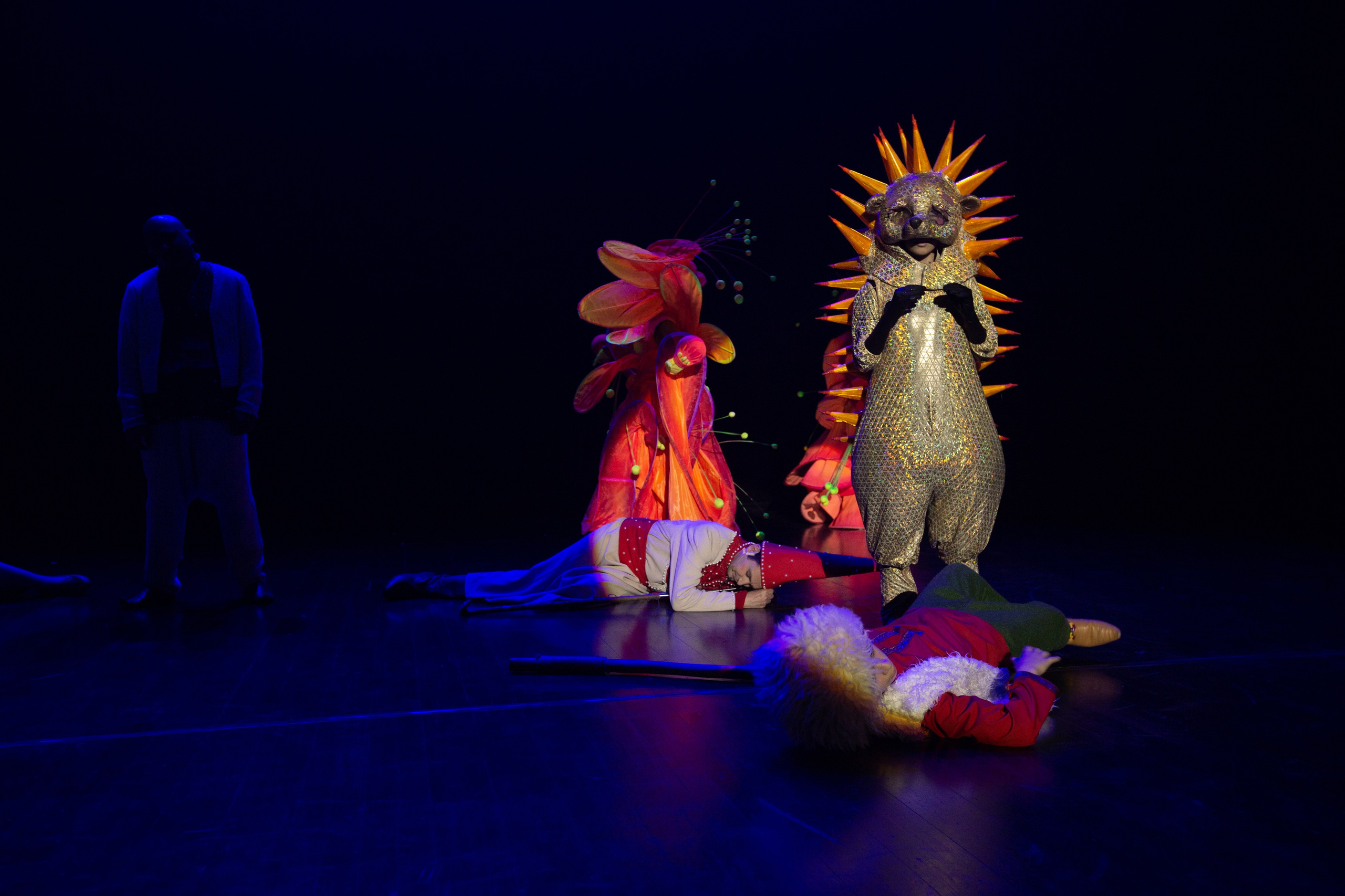 CIRTDAN SHOW. Wedding&Event photographer Ismail Rzayev in Baku