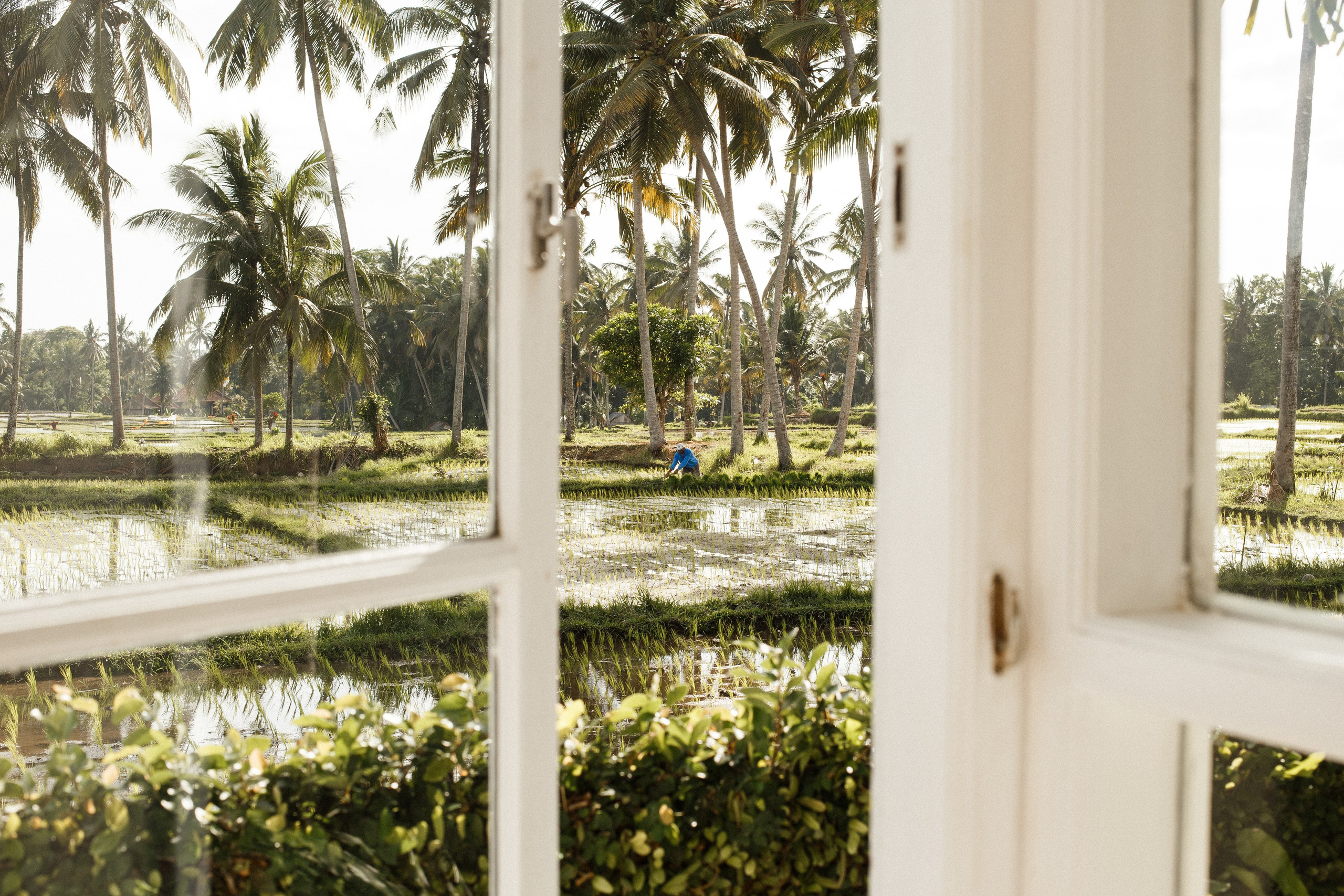 Бракосочетание. Фотограф Бали Получи лучшие фотографии с острова