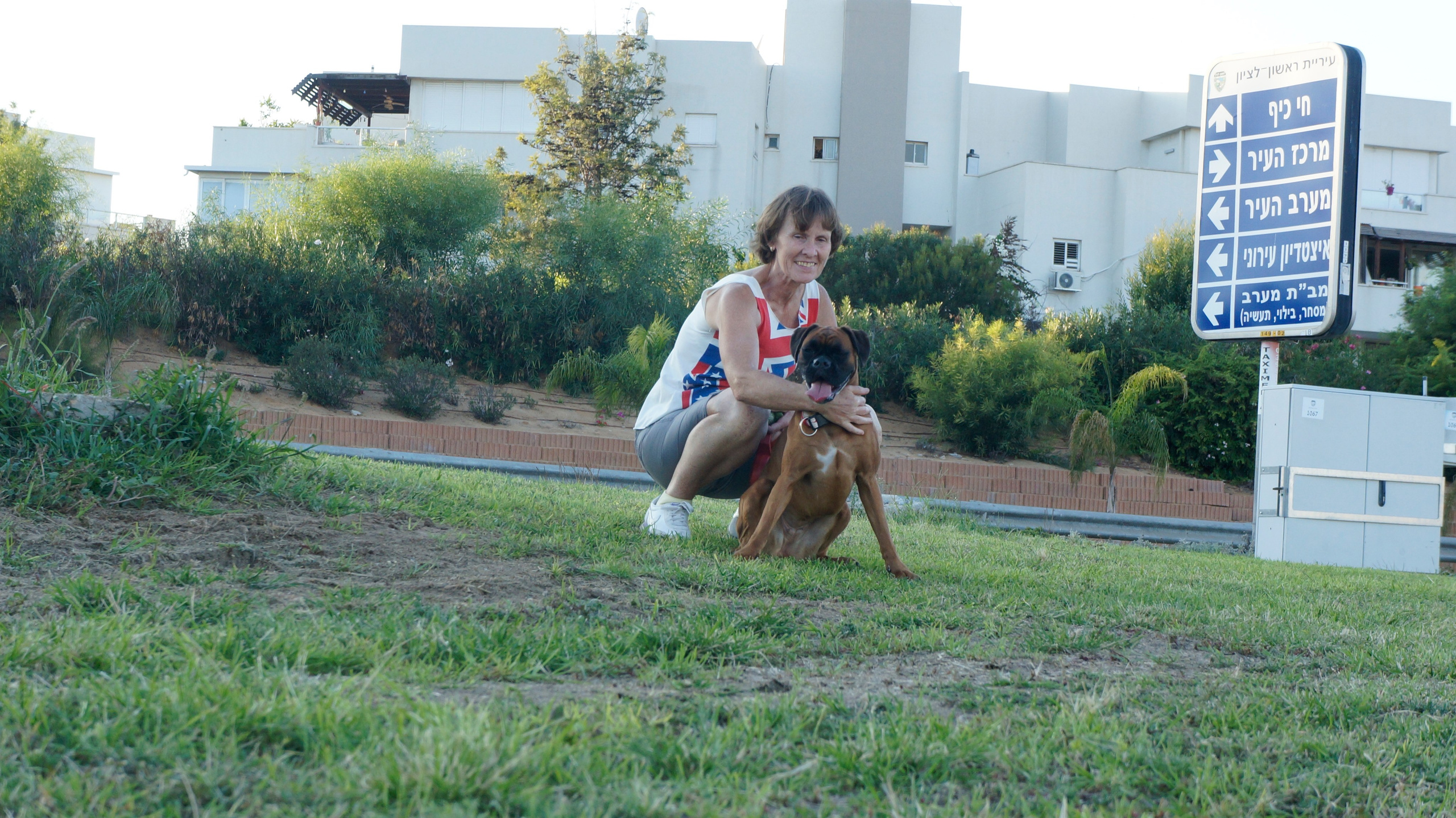 My ״Star״ Boxer Dog